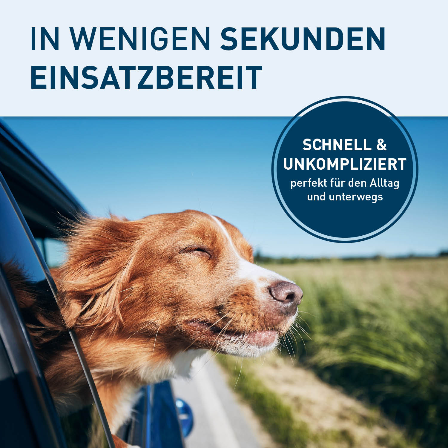 Hundeautositz – wasserfeste Hundebox – M