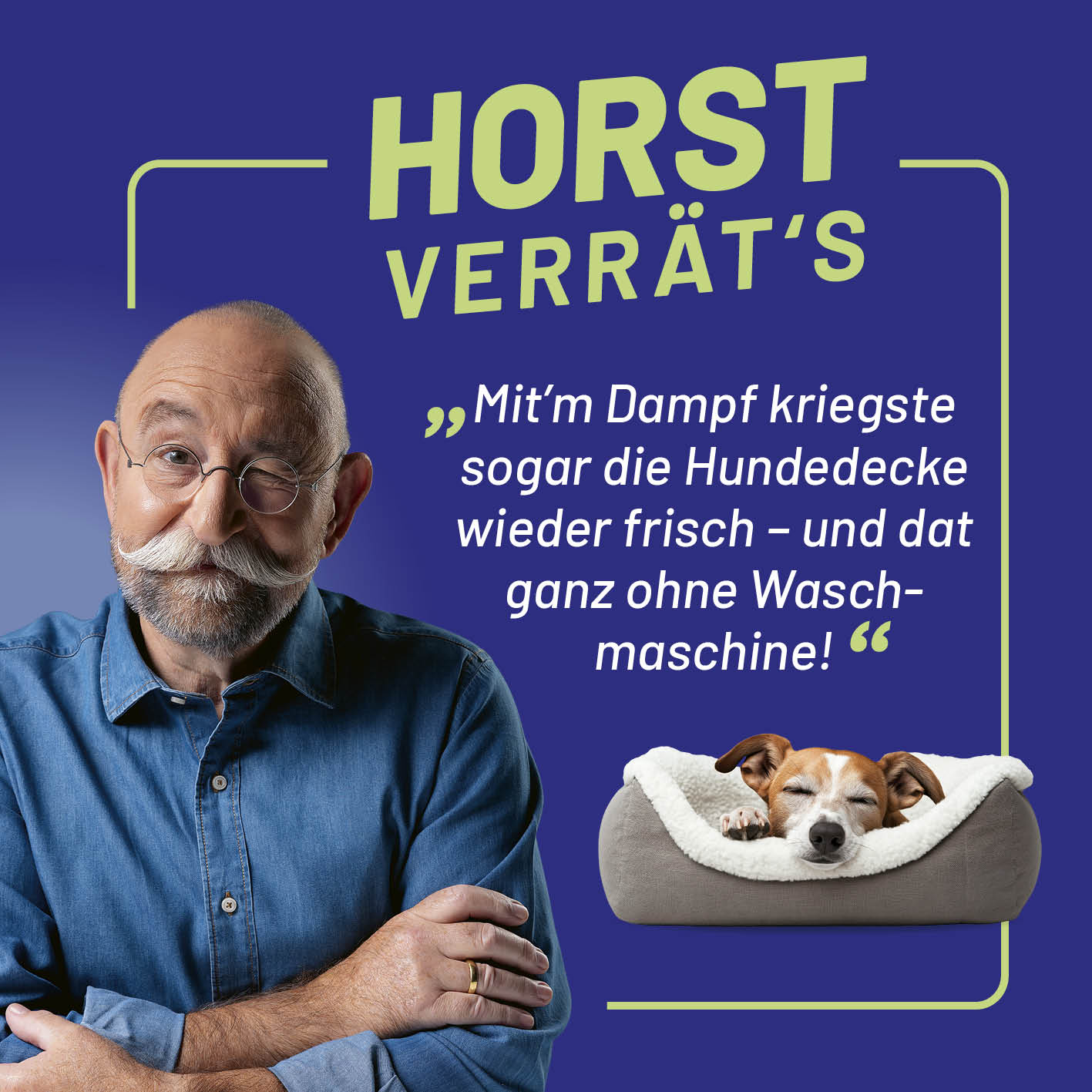 Polster- & Teppichreiniger mit Dampf-Funktion: Bild 7 zeigt einen Mann und einen schlafenden Hund im Bett.