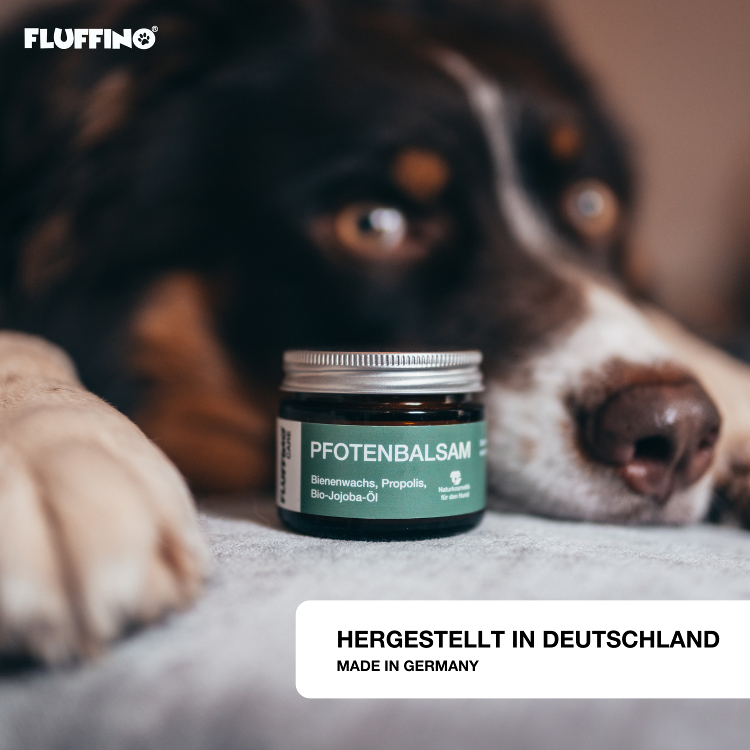 Pfotenbalsam - 50 ml - 100% natürlicher Pfotenschutz mit Bienenwachs und Propolis, Schutz und Pflege für empfindliche Hundepfoten.