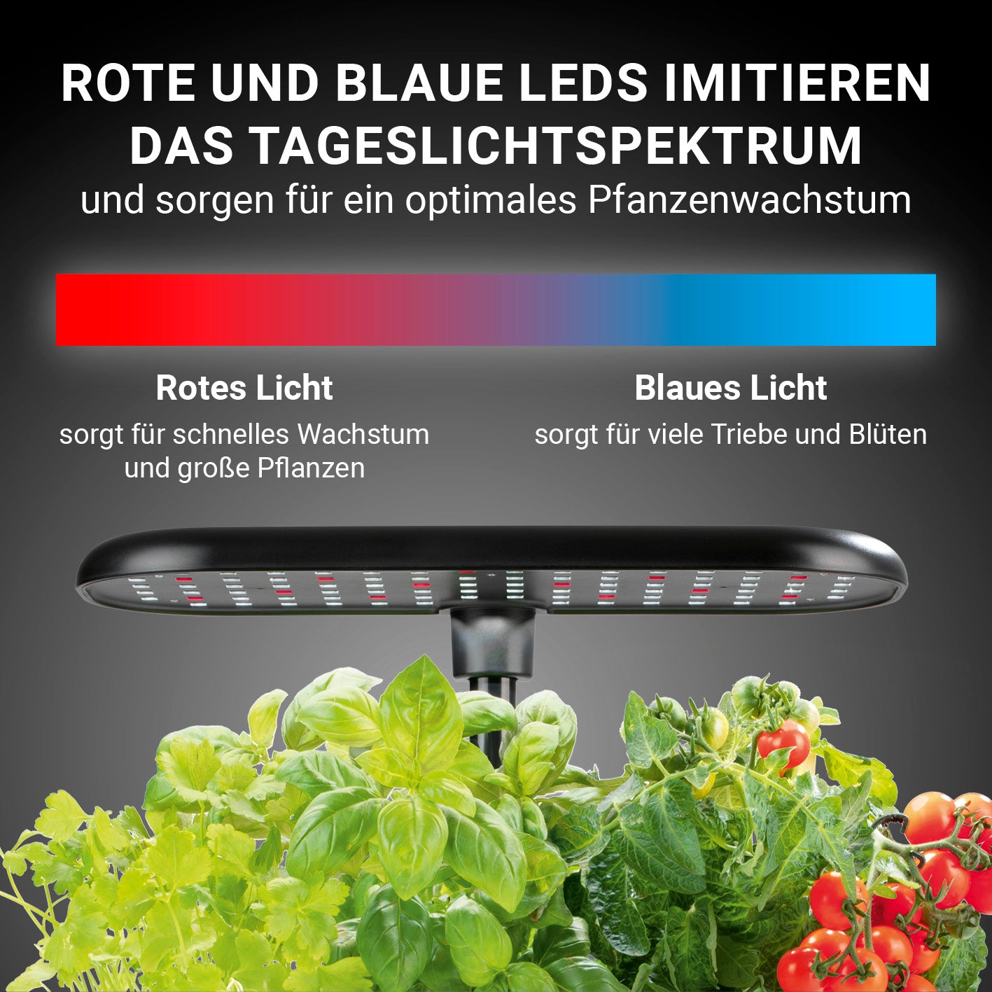 Hydroponische Pflanzenanzuchtstation mit Display + Ersatz-Set 56-tlg. mit roten und blauen LEDs für optimales Pflanzenwachstum.