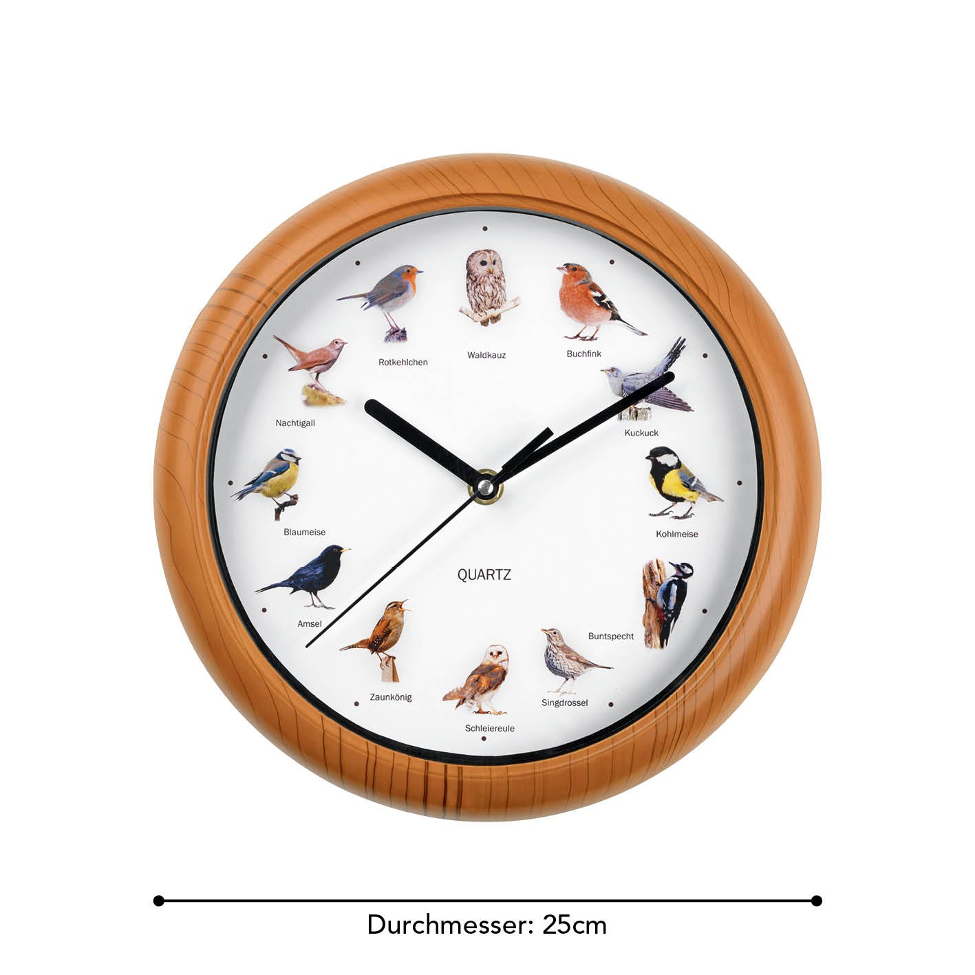 Wanduhr mit Vogelstimmen - 25cm mit naturgetreuen Vogelmotiven, 12 Singvogelstimmen, leuchtend im Dunkeln, automatische Nachtabschaltung.