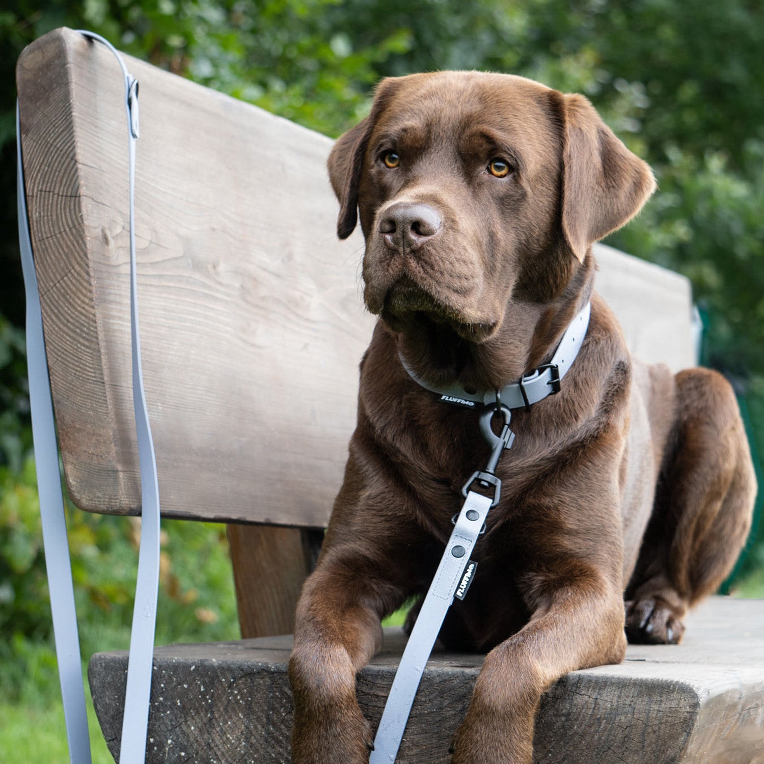 BioThane Hundeleine - 3-Fach verstellbar - 220 cm - Grau mit robustem, veganem Material und verstellbarer Länge, perfekt für alle Hundegrößen.