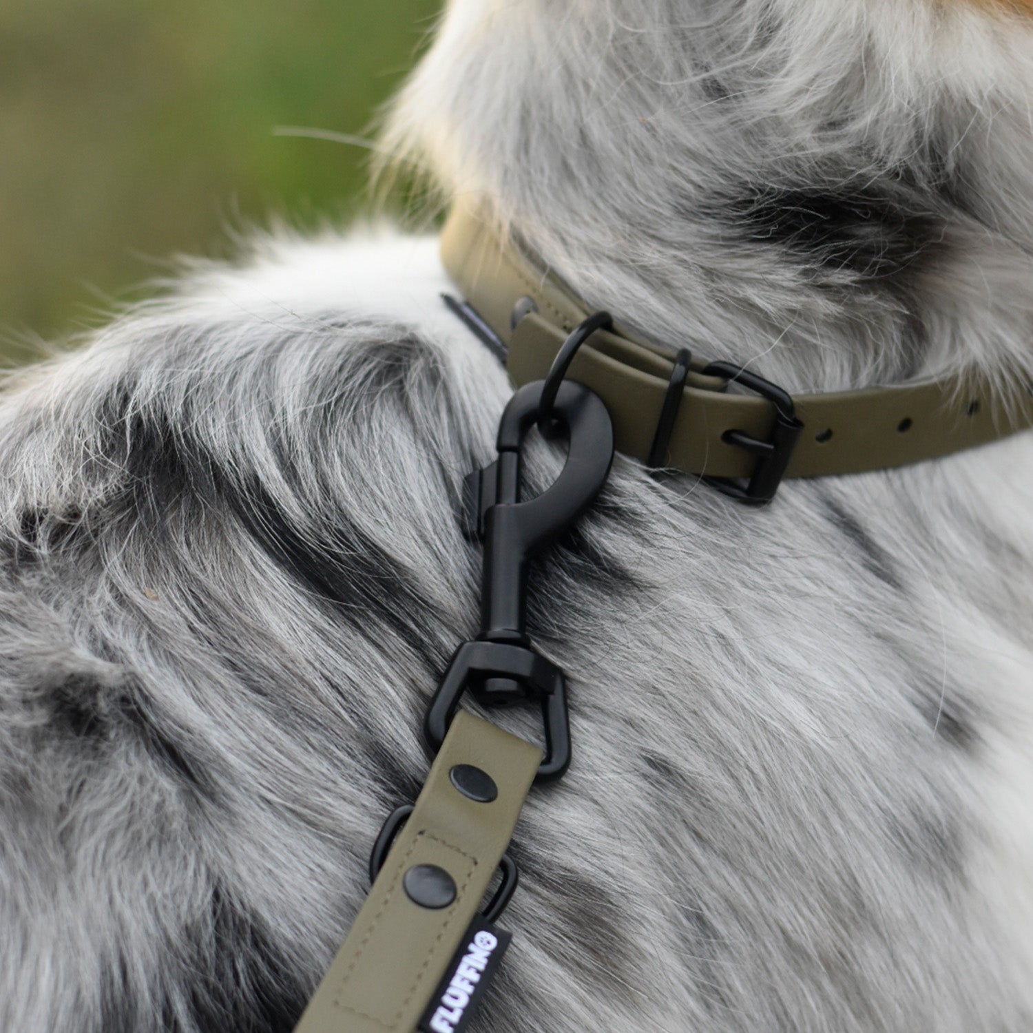Hundehalsband aus BioThane - 5-Fach verstellbare - Größe M - Halsumfang 37 - 45 cm - Oliv an Hund mit passender Leine.