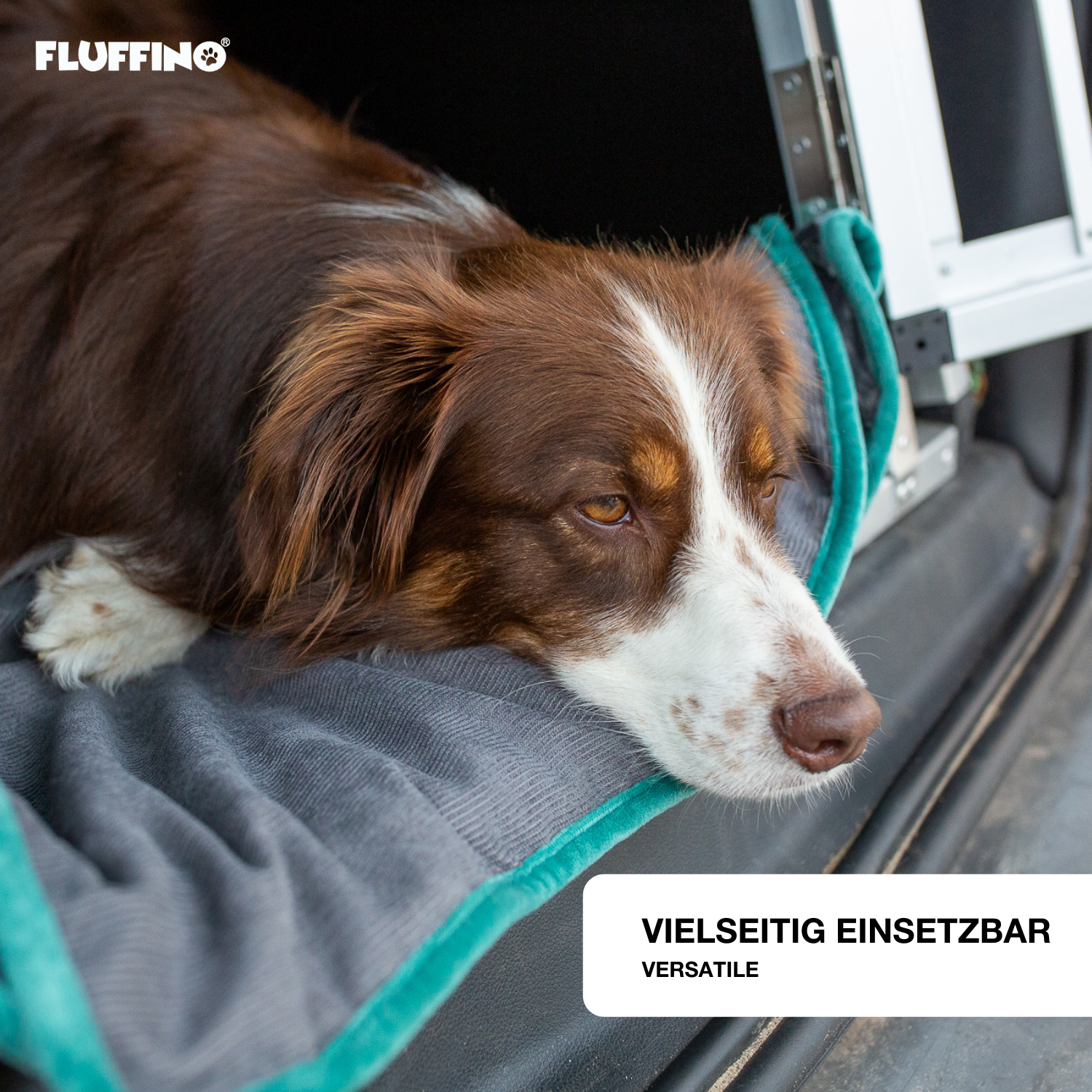 Hund liegt auf FLUFFINO Hundedecke/ Wendedecke /Kuscheldecke - 150x100 cm - Grau, weich und wendbar für drinnen und unterwegs.