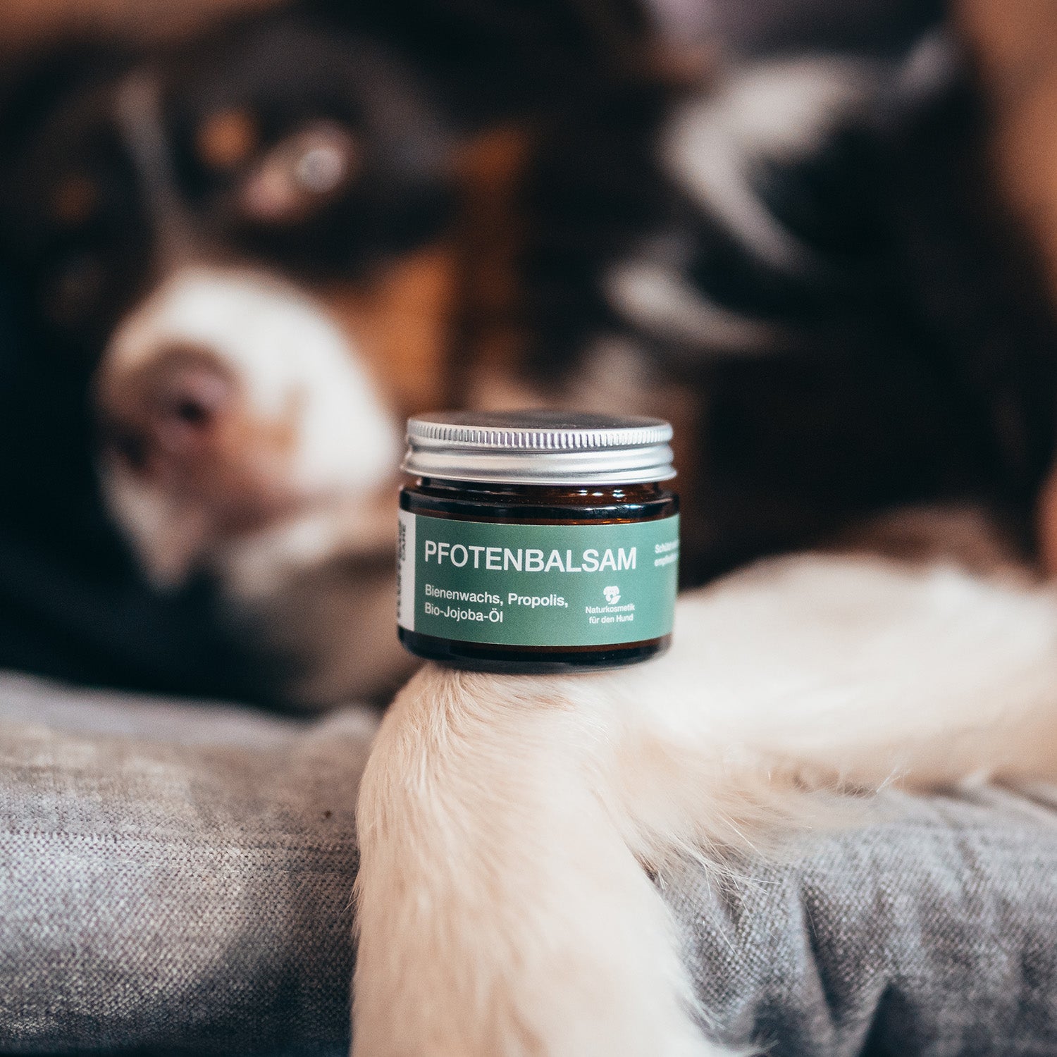 Pfotenbalsam - 50 ml - 100% natürlicher Pfotenschutz mit Bienenwachs und Bio-Jojobaöl, ideal für empfindliche Hundepfoten.