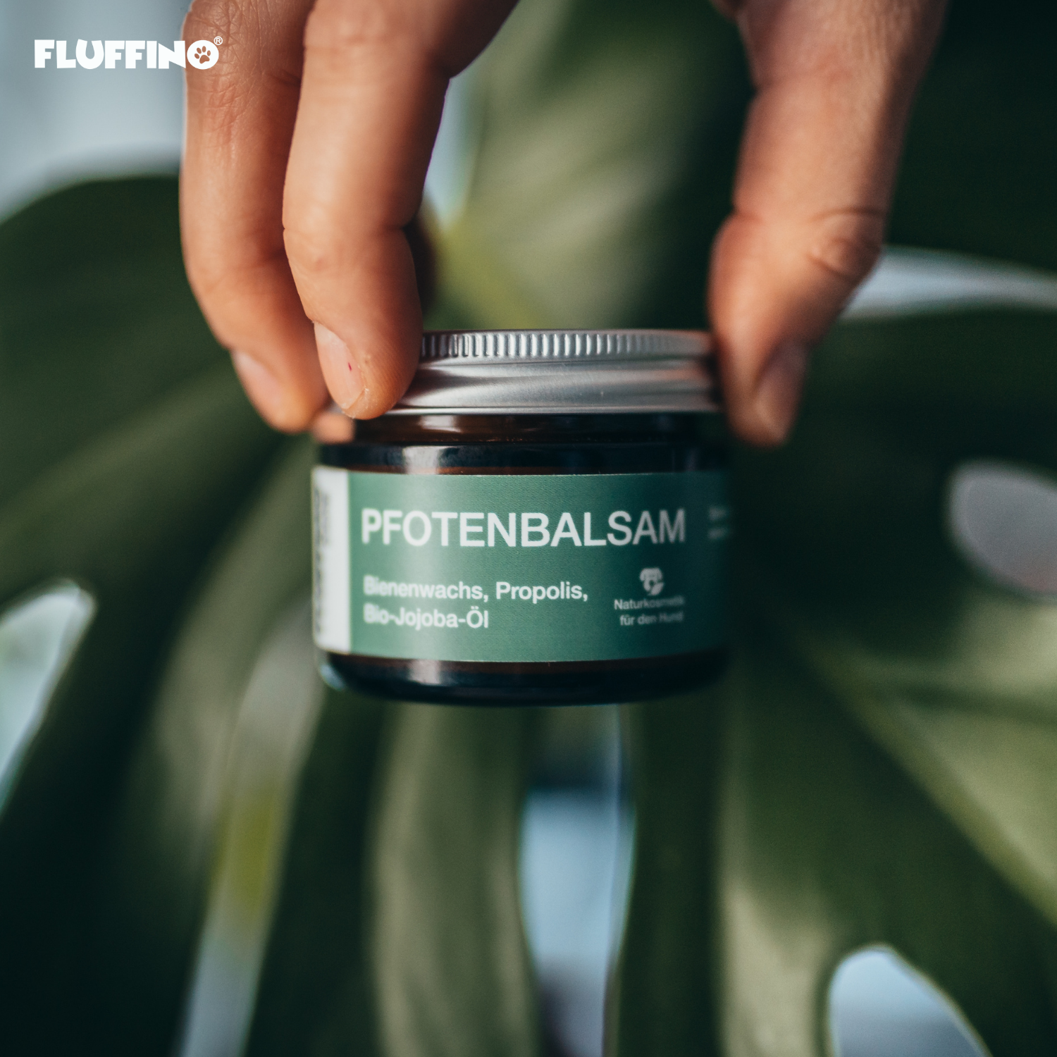 Pfotenbalsam - 50 ml - 100% natürlicher Pfotenschutz mit Bienenwachs, Propolis und Bio-Jojobaöl für Hunde, hergestellt in Deutschland.