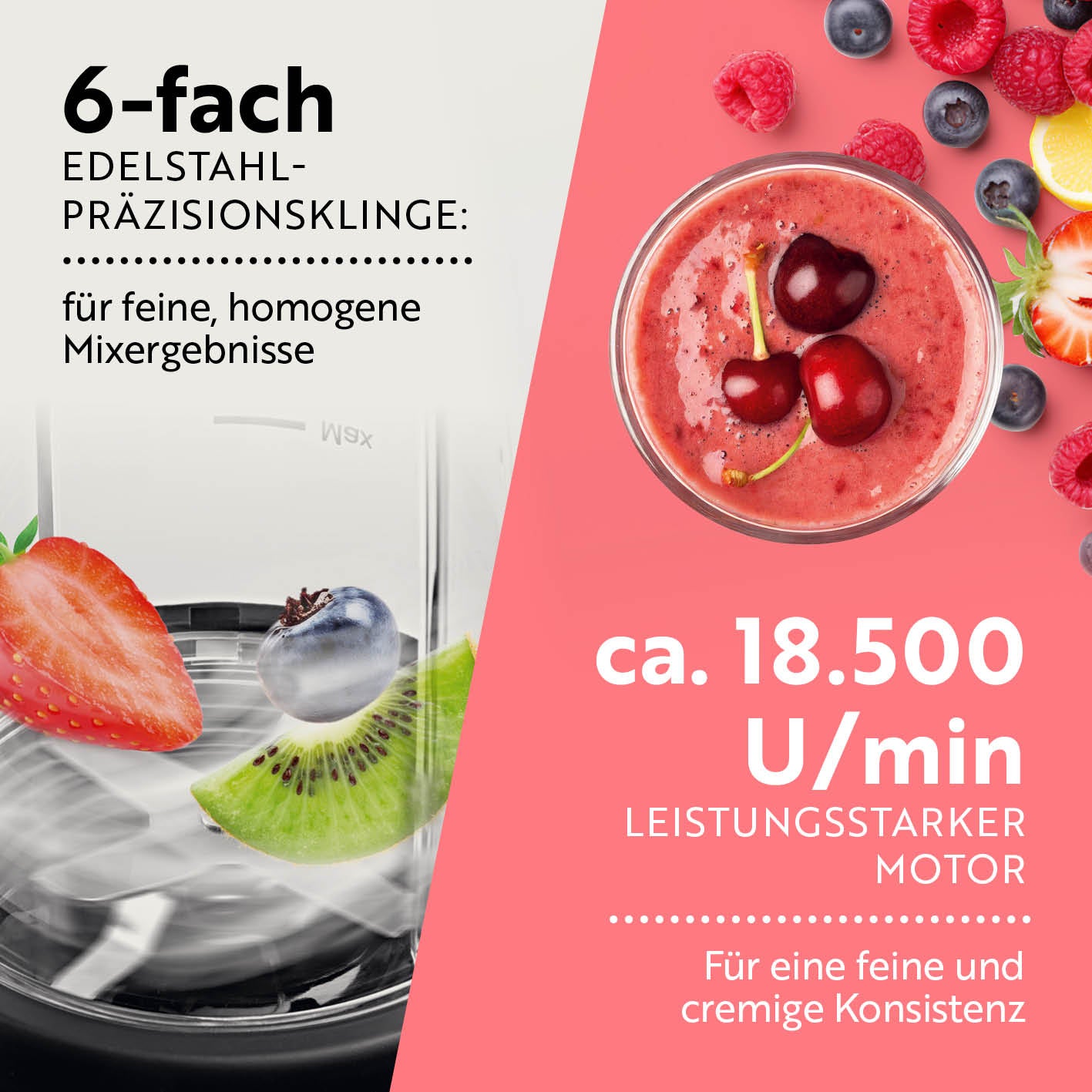 Nutrition Mixer Pro 1.000 mit Zubehörset L - Anthrazit/Schwarz mit 6-fach Edelstahlklingen und 18.500 U/min Motor für feine Mixergebnisse