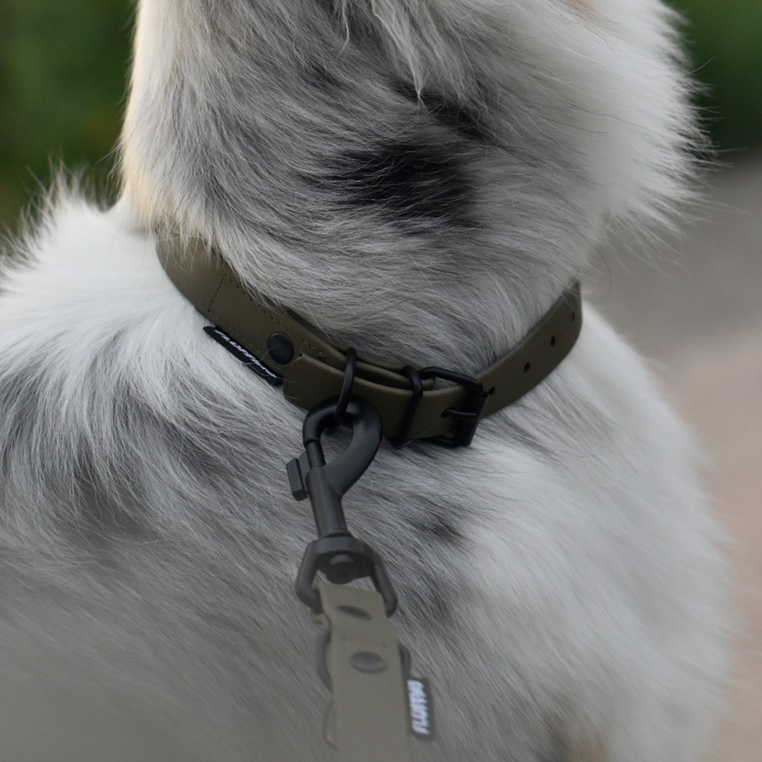 Hundehalsband aus BioThane - 5-Fach verstellbare - Größe L - Oliv am Hundehals, robust und wasserfest, mit passender Leine von FLUFFINO.