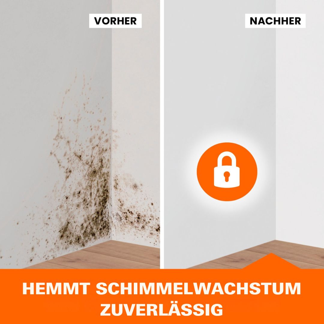 Vorher-Nachher Vergleich einer schimmelfreien Ecke mit Tonis SCHIMMELSCHOCK Anti-Schimmel-Farbe 5.1 - 2er-Set zur wirksamen Schimmelbekämpfung.