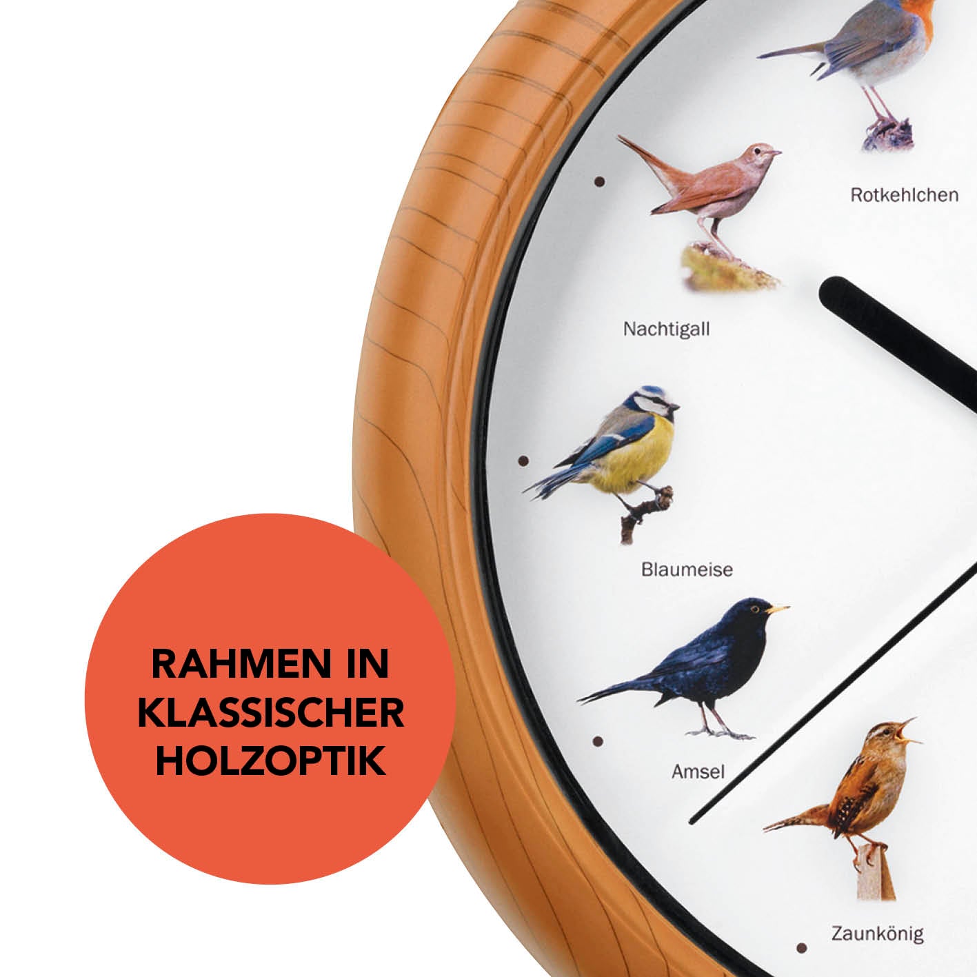 Wanduhr mit Vogelstimmen - 25cm mit klassischem Holzrahmen und naturgetreuen Vogelmotiven, die zu jeder vollen Stunde zwitschern.