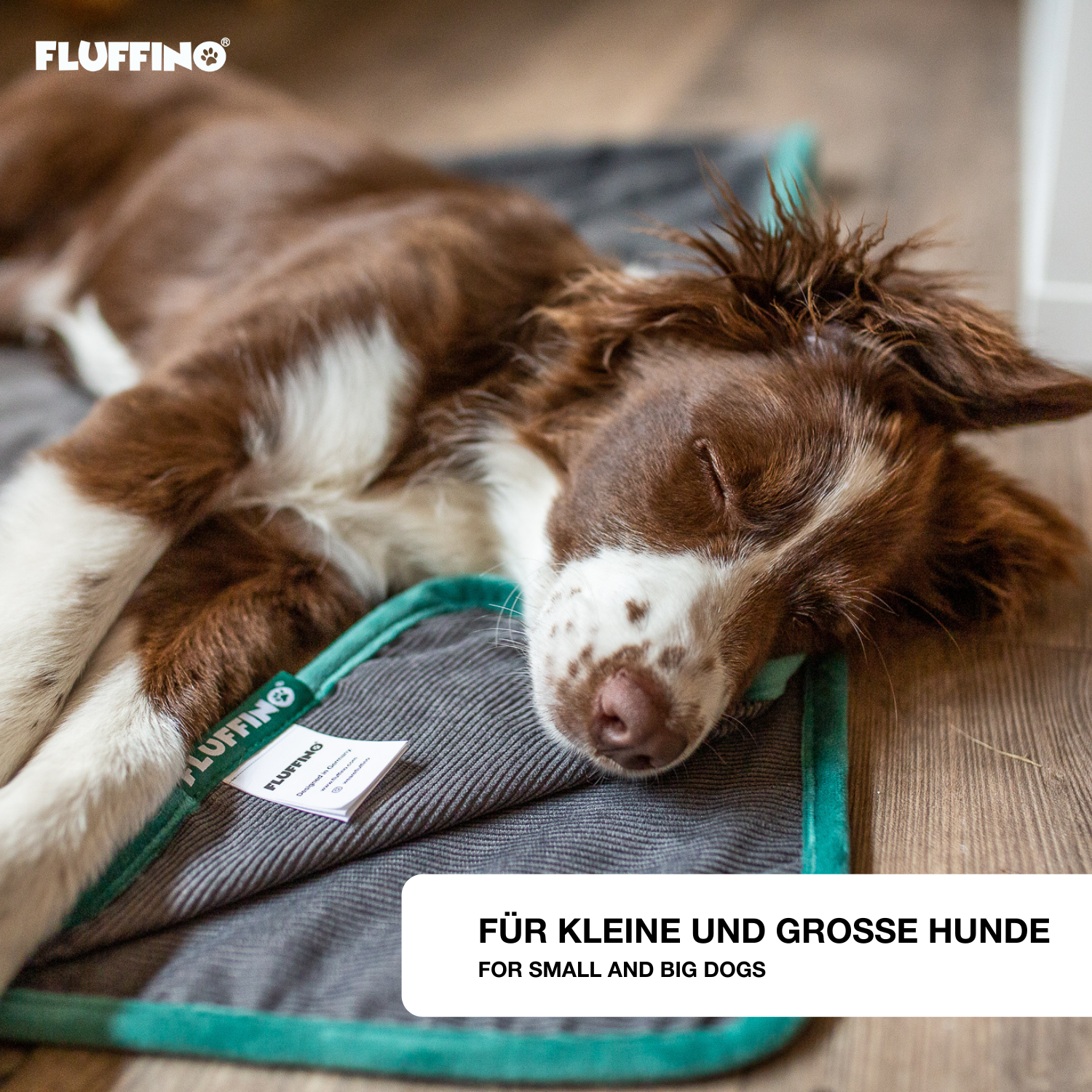 Hund schläft auf der FLUFFINO Hundedecke/ Wendedecke /Kuscheldecke - 150x100 cm - Grau, weich und wendbar für jede Jahreszeit.