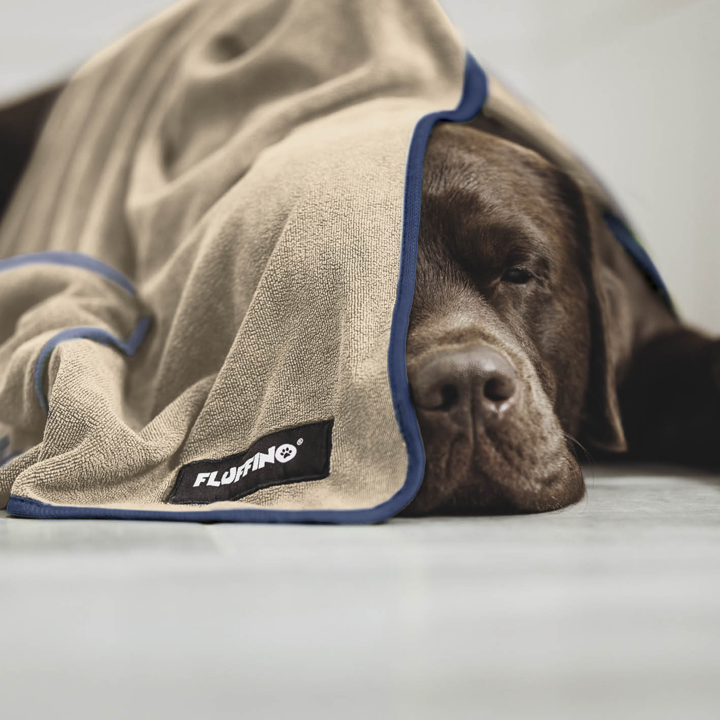 Hundehandtuch Mikrofaser – 4er-Pack - Beige & Blau von FLUFFINO, extra saugfähig, schnell trocknend, weich und handlich für kleine und mittelgroße Hunde.