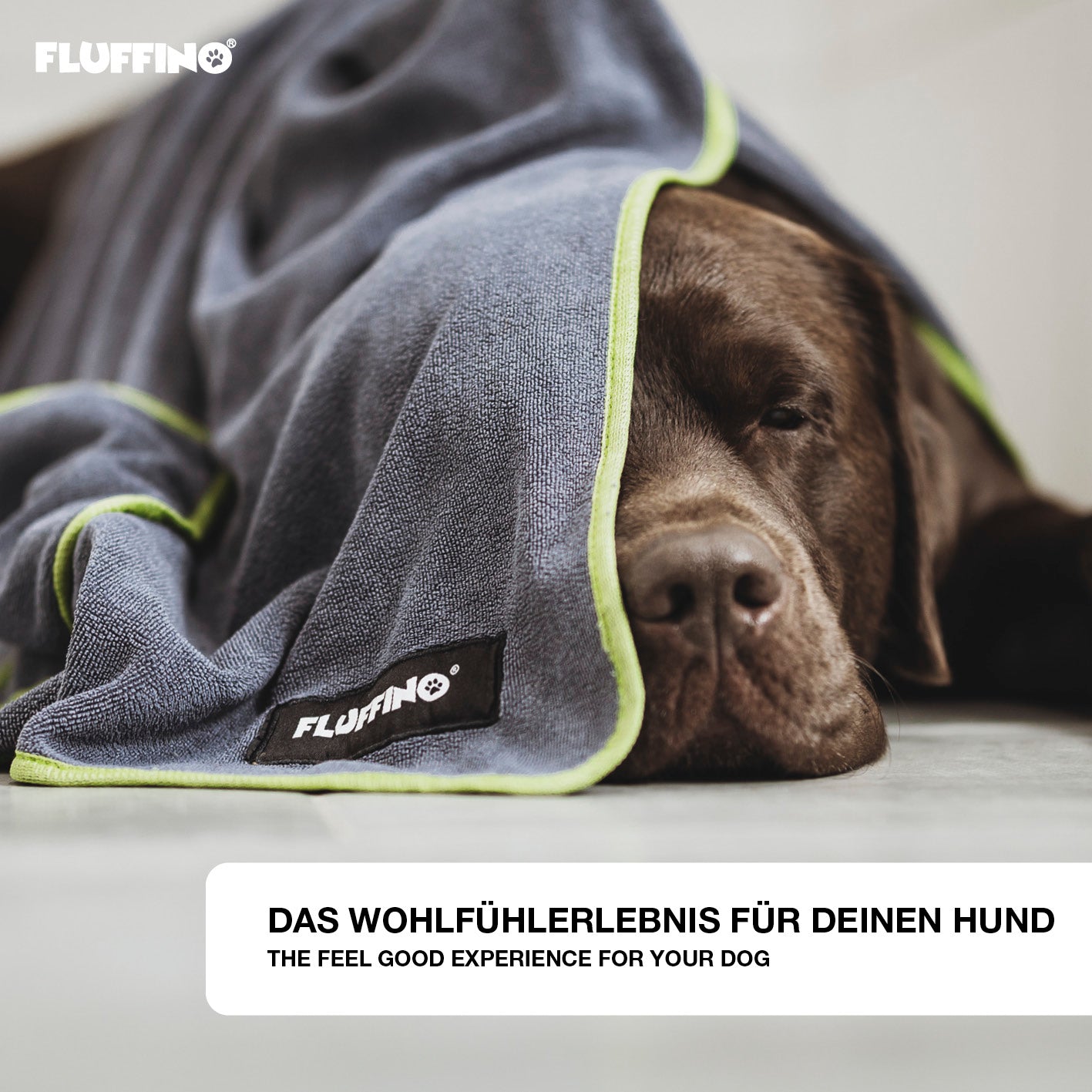 Hundehandtuch Mikrofaser – 2er-Pack grau & grün, extra saugfähig, handlich, schnell trocknend für große und kleine Hunde, Marke FLUFFINO.