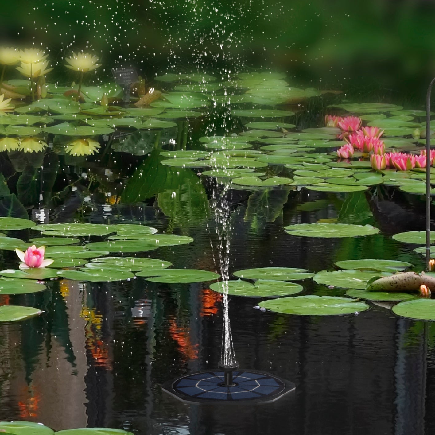 Solar-Gartenfontäne mit 6 Sprühaufsätze in einem Teich mit Seerosen, betrieben durch Solarenergie für unterschiedliche Wassereffekte.