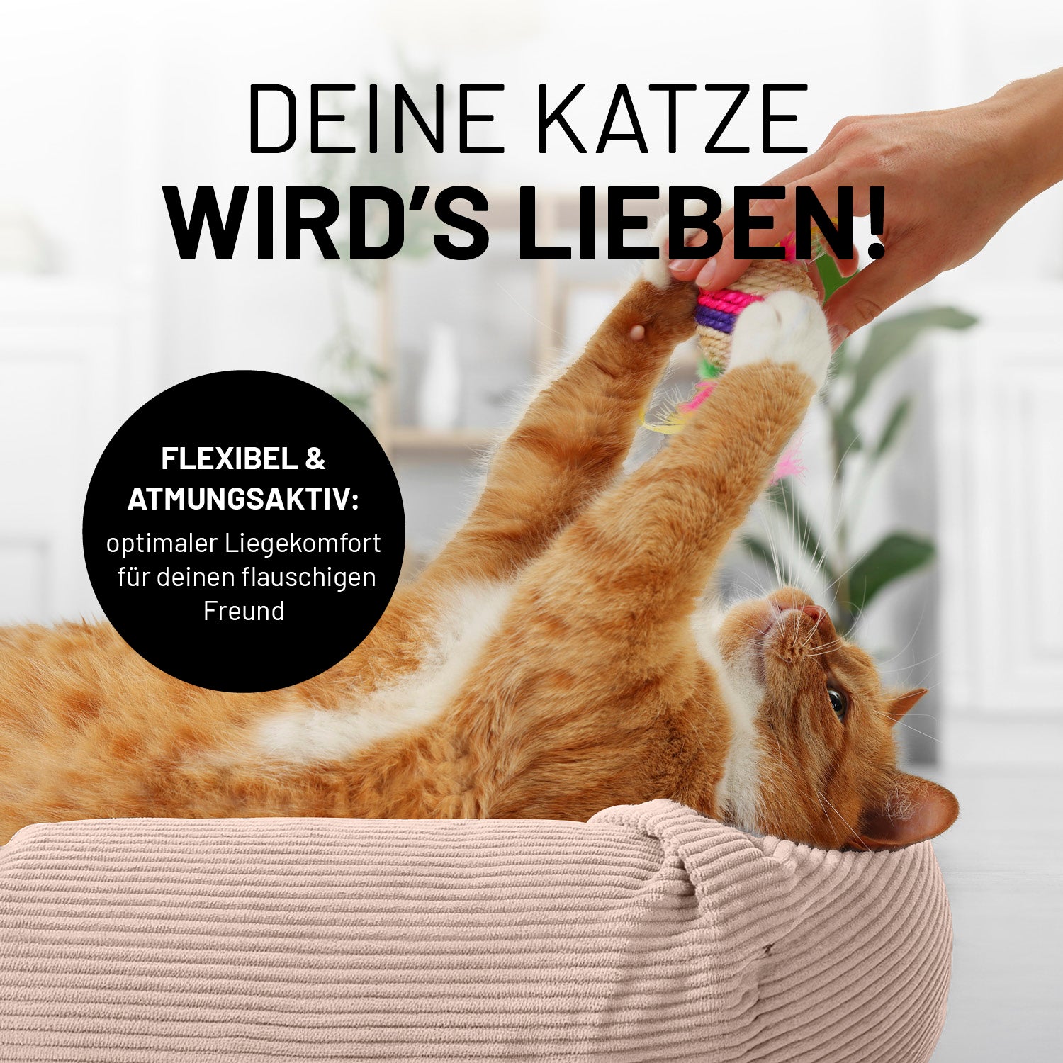 Komfort-Katzenbett aus der LUMALAND Cord-Reihe - Ø 60 cm - Rosé mit flexiblem Cord-Bezug für optimalen Kuschelkomfort.