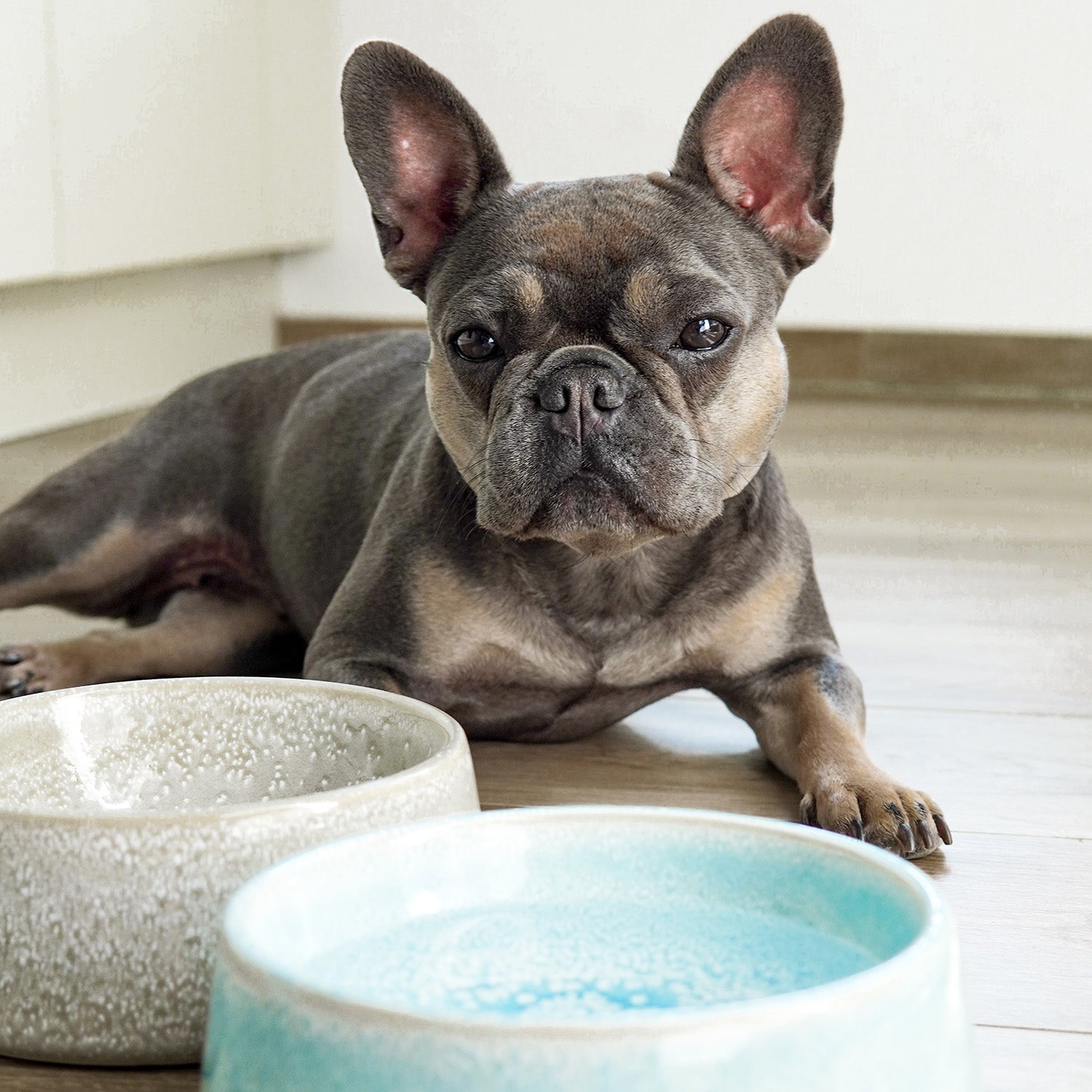 Hundenapf / Futternapf Keramik - 800 ml - Lebensmittelecht - Grau, handgefertigt, spülmaschinenfest, ideal für kleine und mittelgroße Hunde.