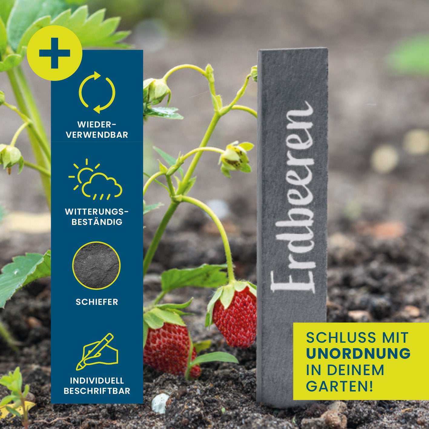 Schiefer-Pflanzschilder 10er-Set - 15 x 2,5 cm, wetterfest, wiederverwendbar und individuell beschriftbar für Garten und Pflanzen.