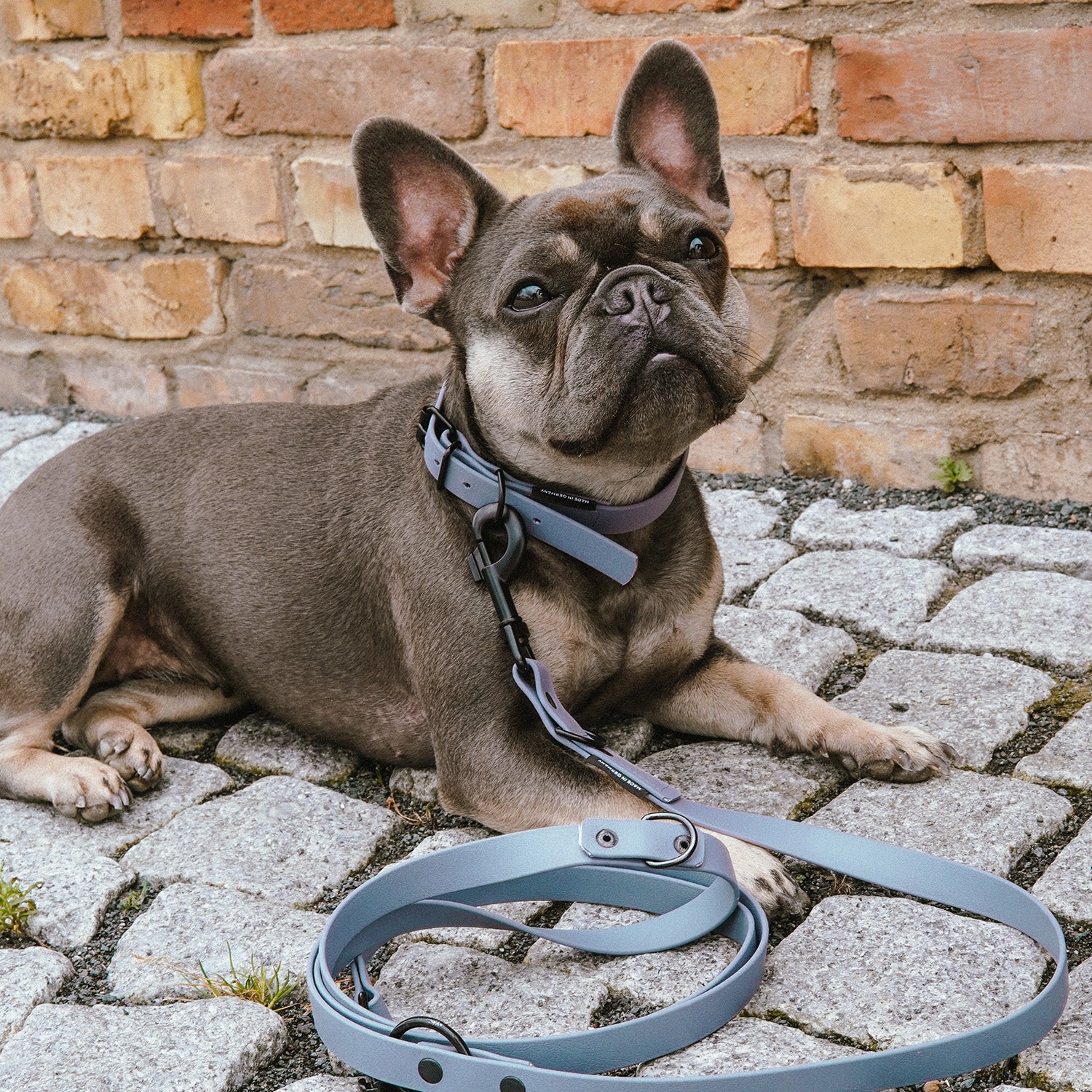 BioThane Hundeleine - 3-Fach verstellbar - 220 cm - Grau mit weichem, wasserfestem veganem Lederersatz und robustem Karabiner am Hundehalsband.