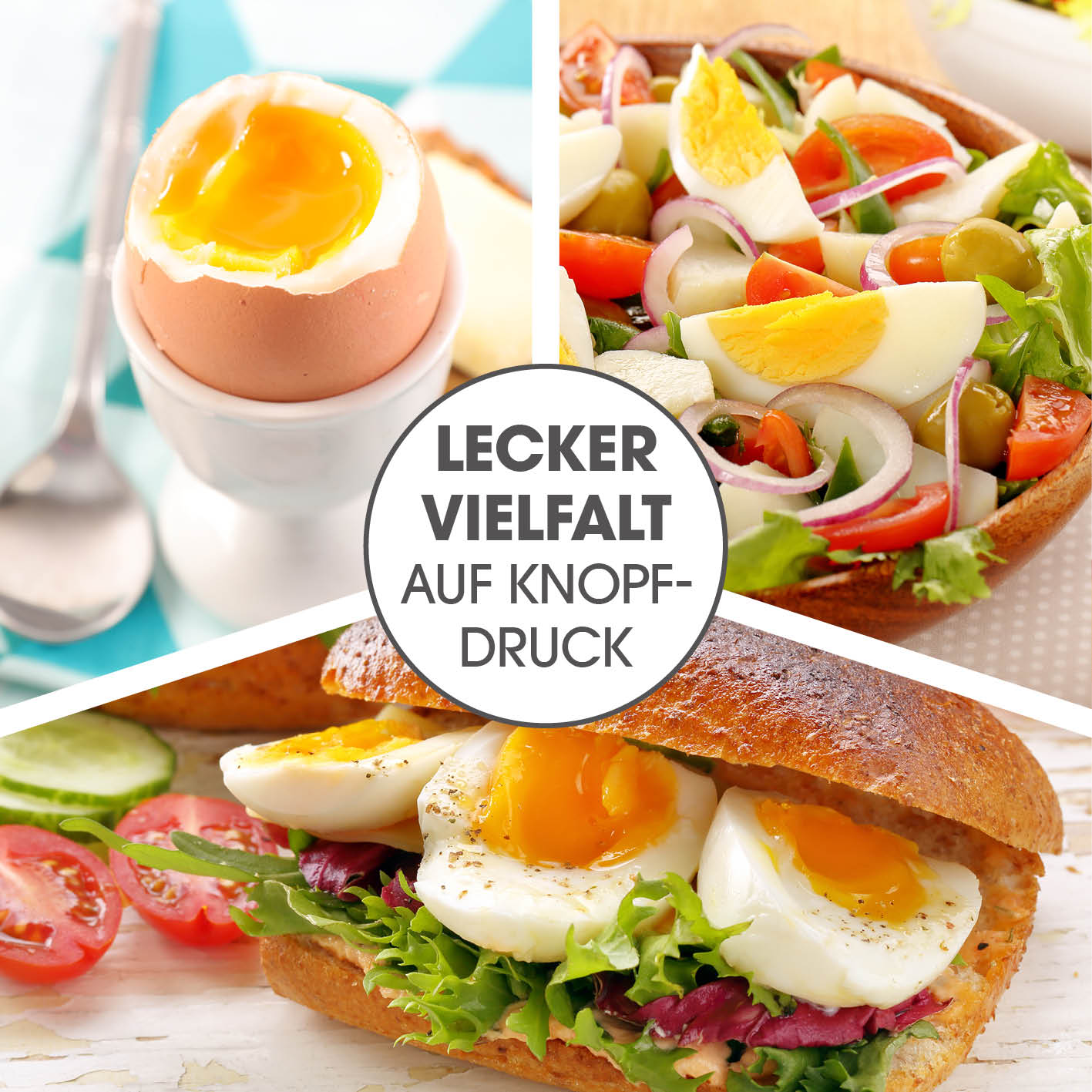 Design-Eierkocher für 6 Eier zeigt verschiedene zubereitete Eiergerichte mit weich & hart gekochten Eiern, ideal für Frühstück und Salate.