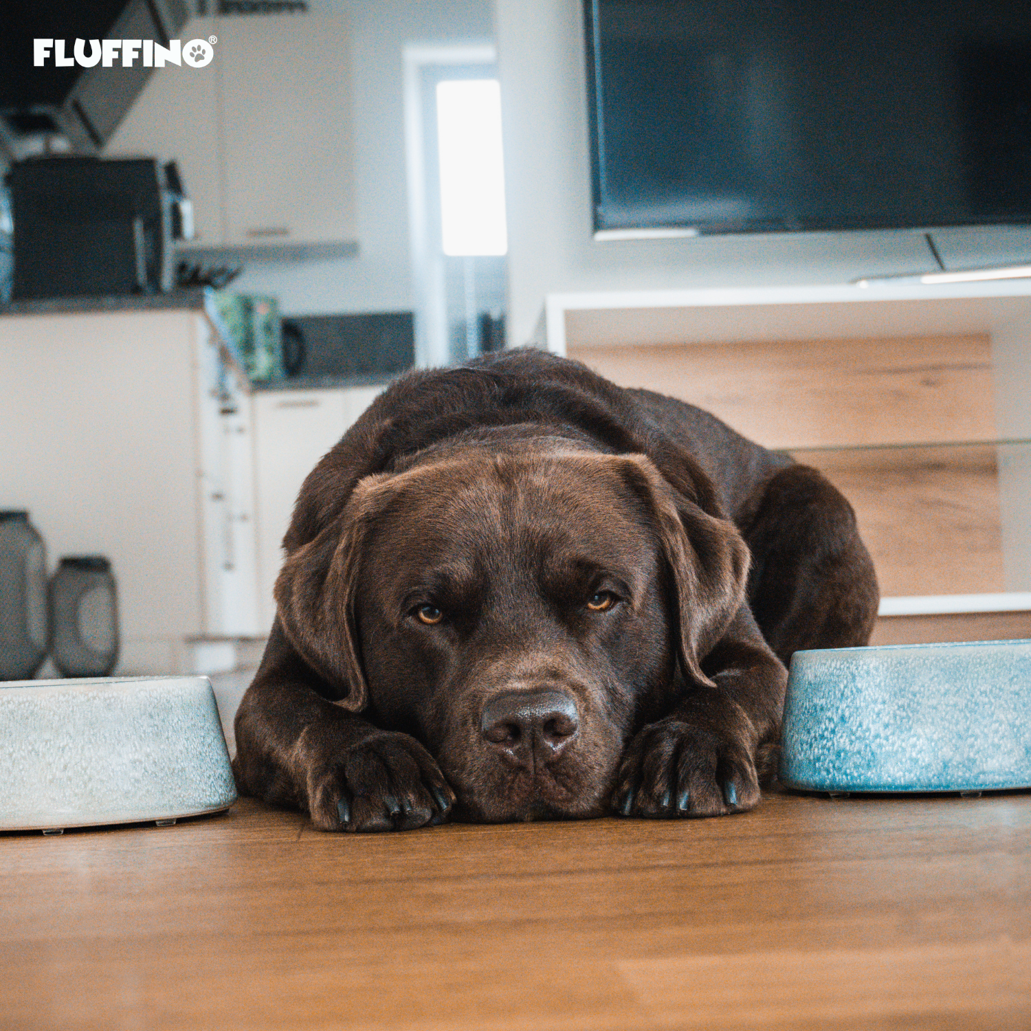 Hundenapf / Futternapf Keramik - 800 ml, grau, handgefertigt, lebensmittelecht, spülmaschinenfest, ideal für kleine und mittelgroße Hunde.