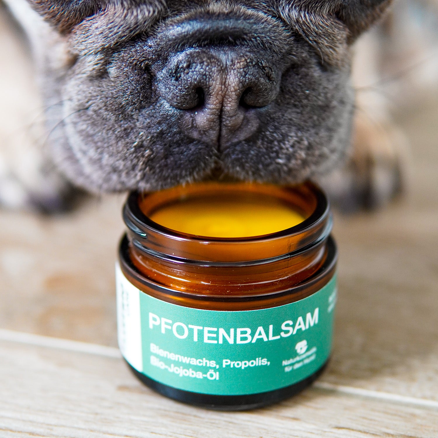 Pfotenbalsam - 50 ml - 100% natürlicher Pfotenschutz mit Propolis, Bienenwachs und Bio-Jojobaöl für empfindliche Hundepfoten.