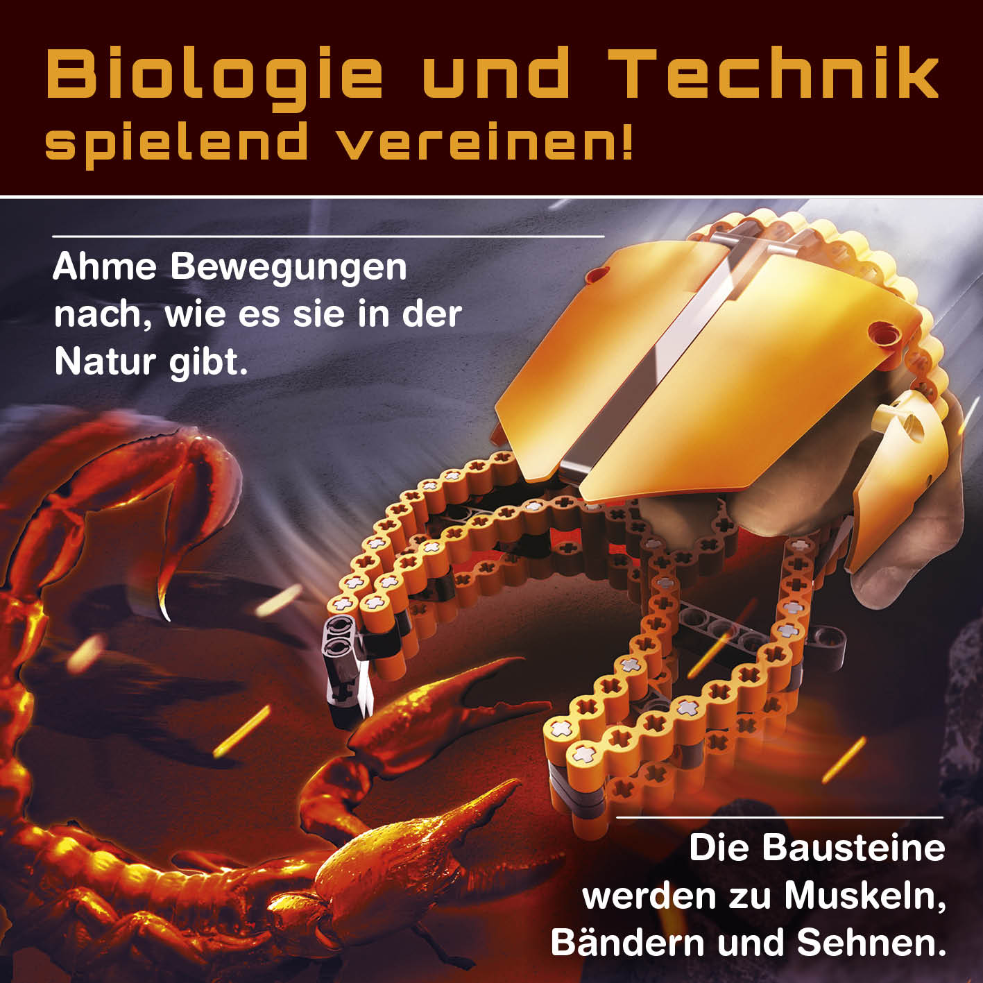 Baustein-Set Skorpion zeigt flexible Bausteine, die natürliche Bewegungen und Muskeln für dynamische Konstruktionen nachahmen.