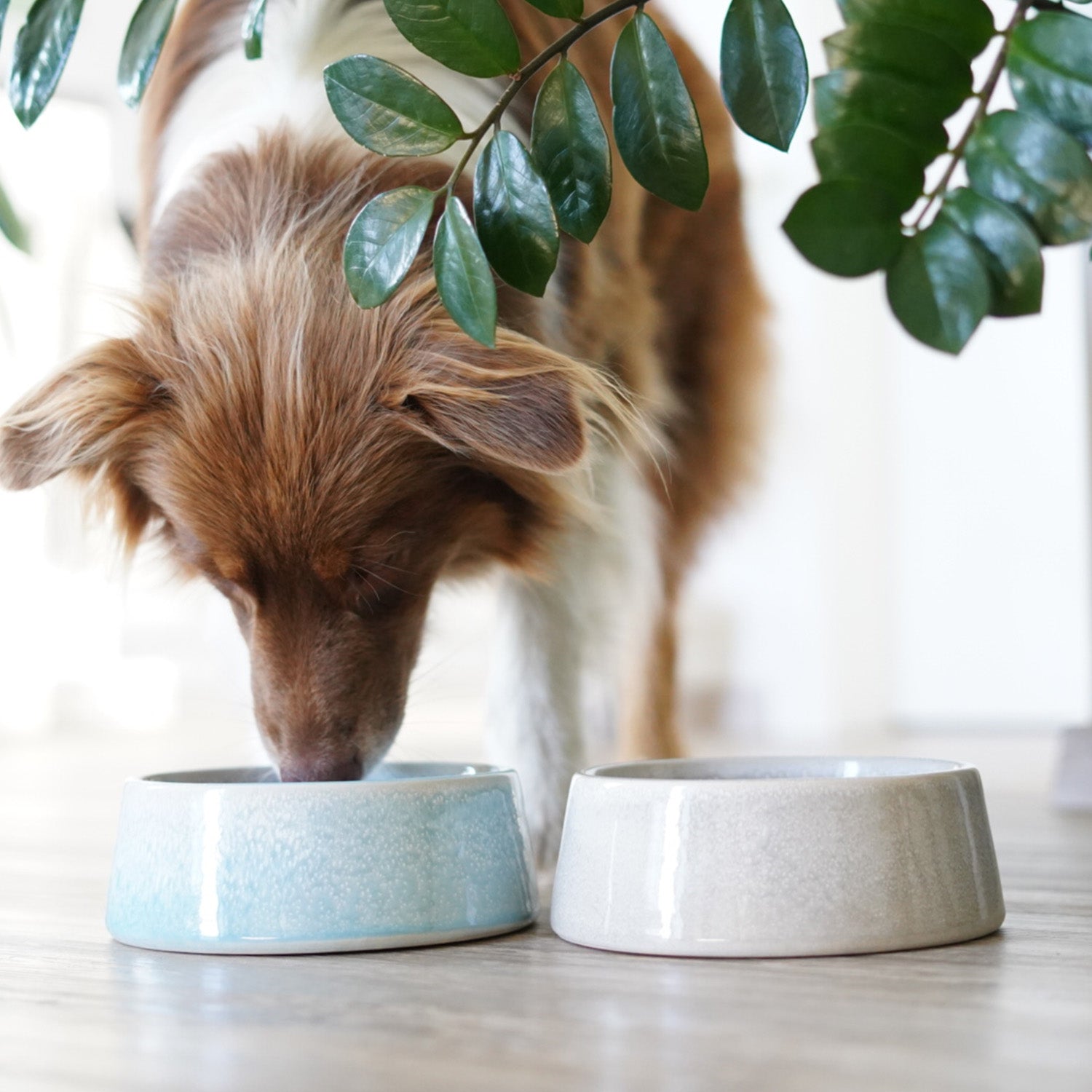 Hundenapf / Futternapf Keramik - 800 ml - Lebensmittelecht - Grau, handgefertigt, spülmaschinenfest, ideal für kleine und mittelgroße Hunde.