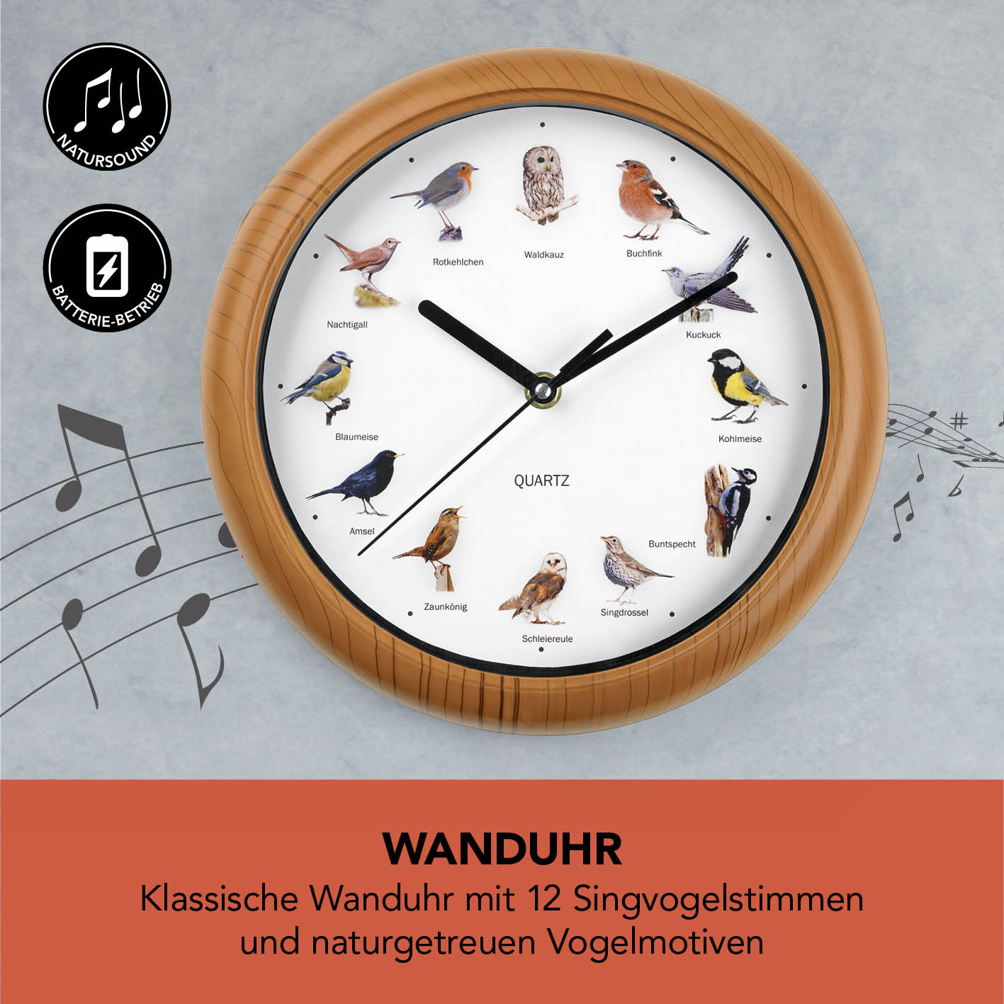 Wanduhr mit Vogelstimmen - 25cm mit 12 Singvogelmotiven und naturgetreuen Vogelstimmen für jede volle Stunde