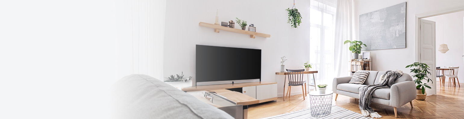 Ein modernes lichtdurchflutetes Wohnzimmer mit Flachbildfernseher, grauem Sofa und Pflanzen.