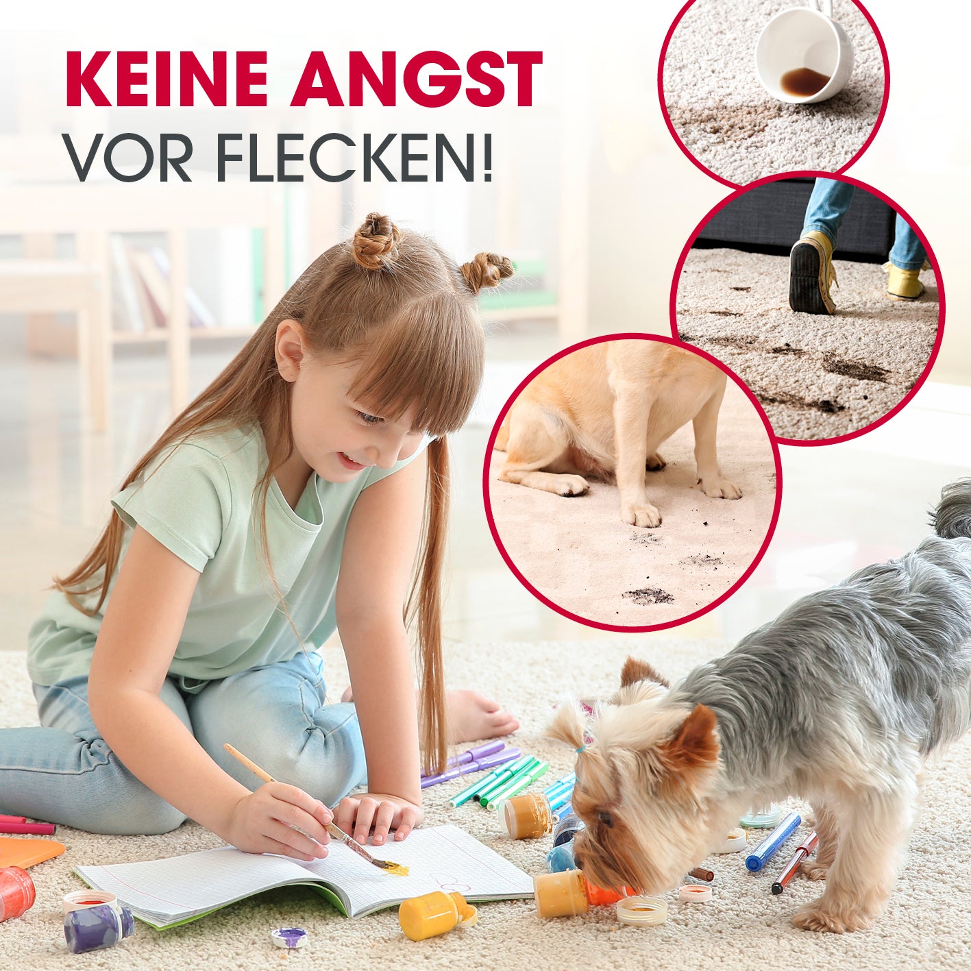 AquaStream Plus DUO Teppich- und Hartbodenreiniger