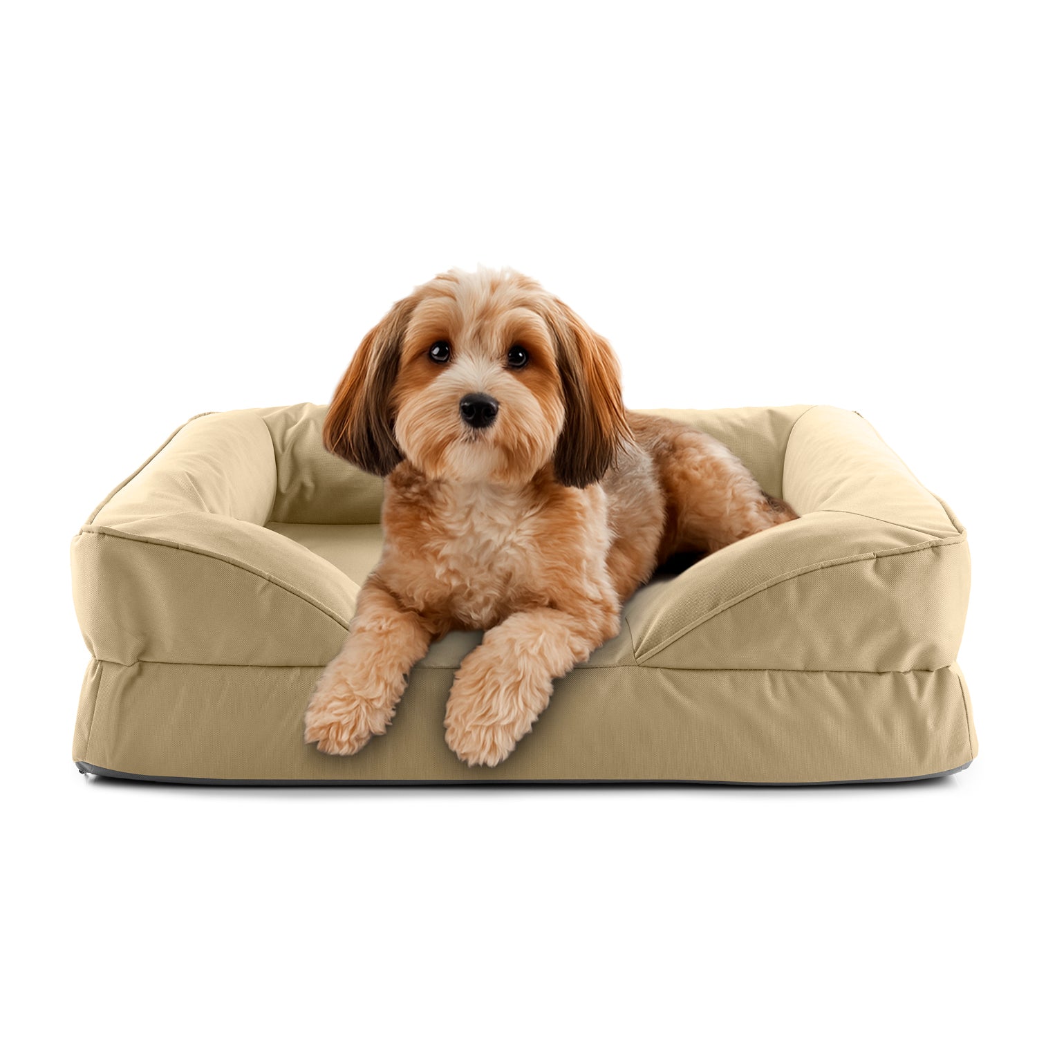 Komfort-Hundebett aus der LUMALAND Outdoor-Kollektion - Gr. S - 70 x 60 cm - Beige mit weichem Rand und wasserfestem Bezug mit kleinem Hund.