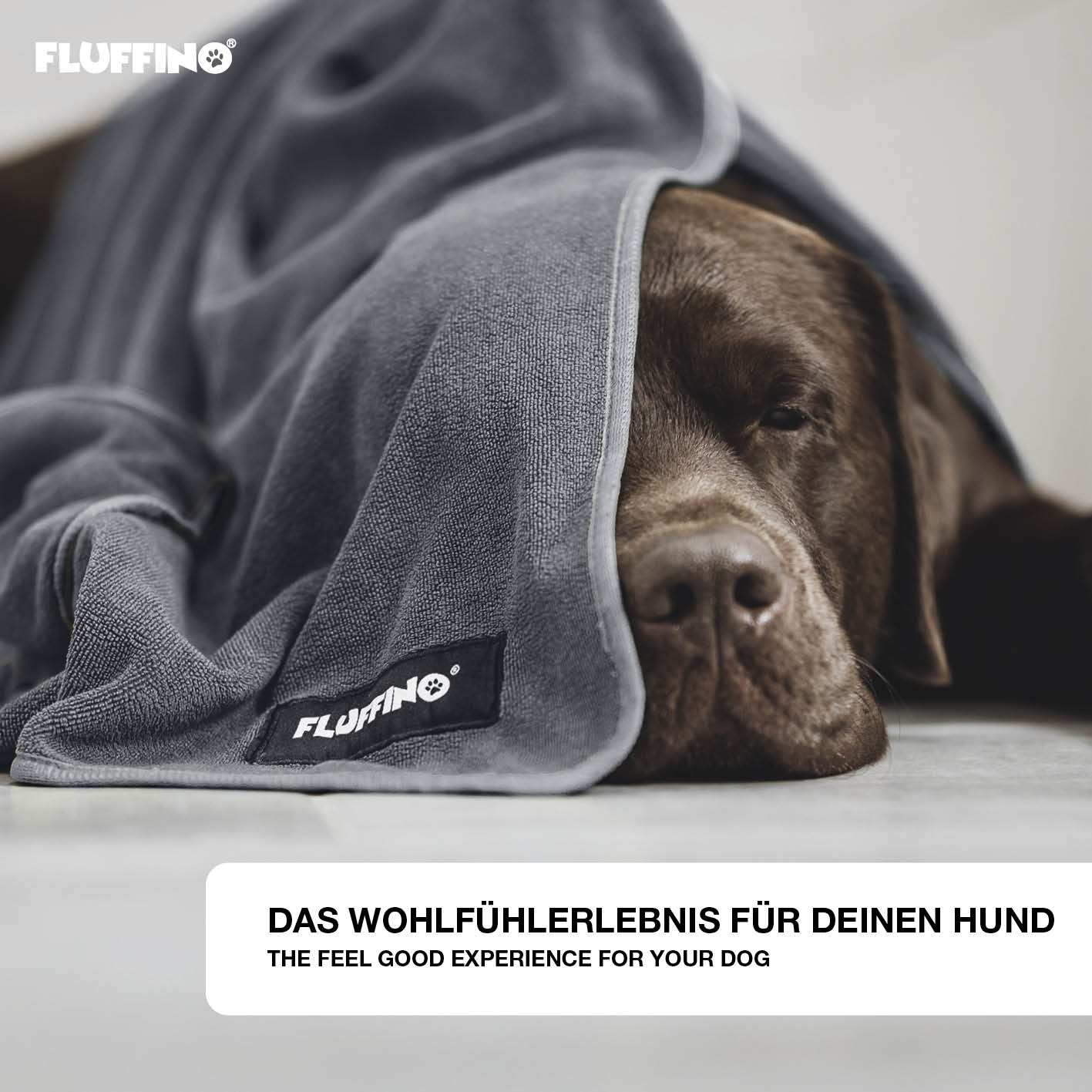Hundehandtuch Mikrofaser – 4er-Pack (90 x 50 cm + 120 x 70 cm) – Dunkelgrau & Grau