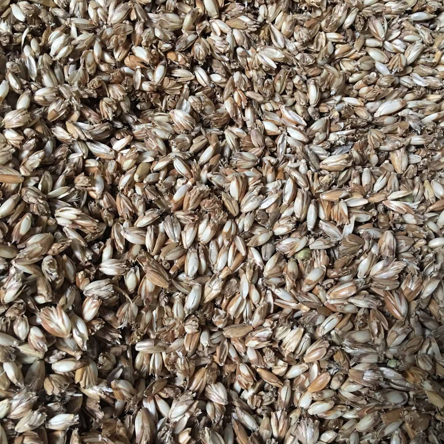 Bio Dinkelspelz zum Befüllen & Nachfüllen von Kissen & Bolstern - 20 kg, gereinigt, entstaubt und Bio-Qualität aus Österreich.