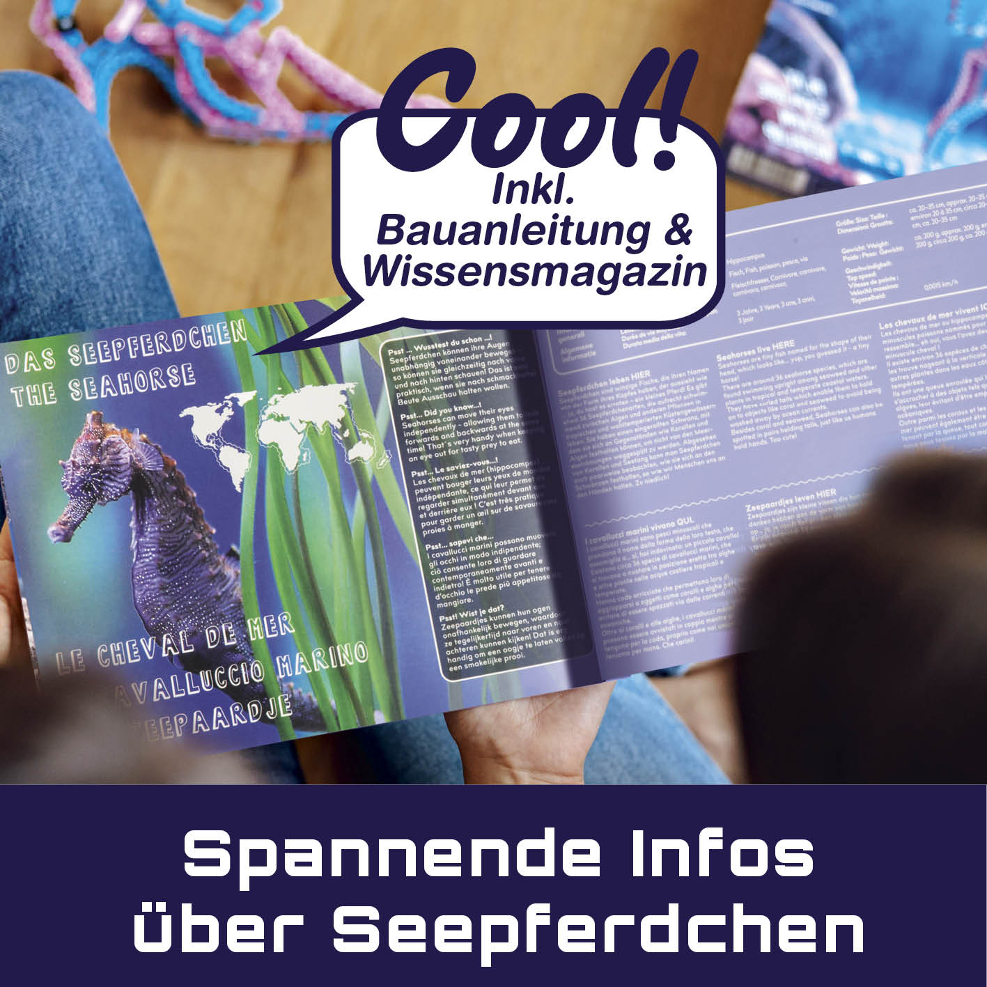 Baustein-Set "Skorpion & Seepferdchen" mit Bauanleitung und Wissensmagazin zu flexiblen Bausteinen und Naturgesetzen.