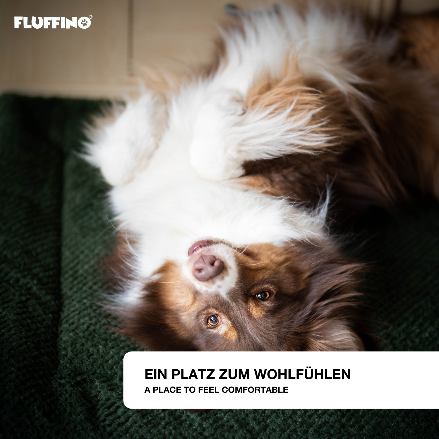 Hundedecke/Hundekissen - Wildlederimitat - Größe S (73 x 45 cm) - grün mit flauschiger Oberfläche und rutschfester Unterseite, ideal für kleine Hunde.