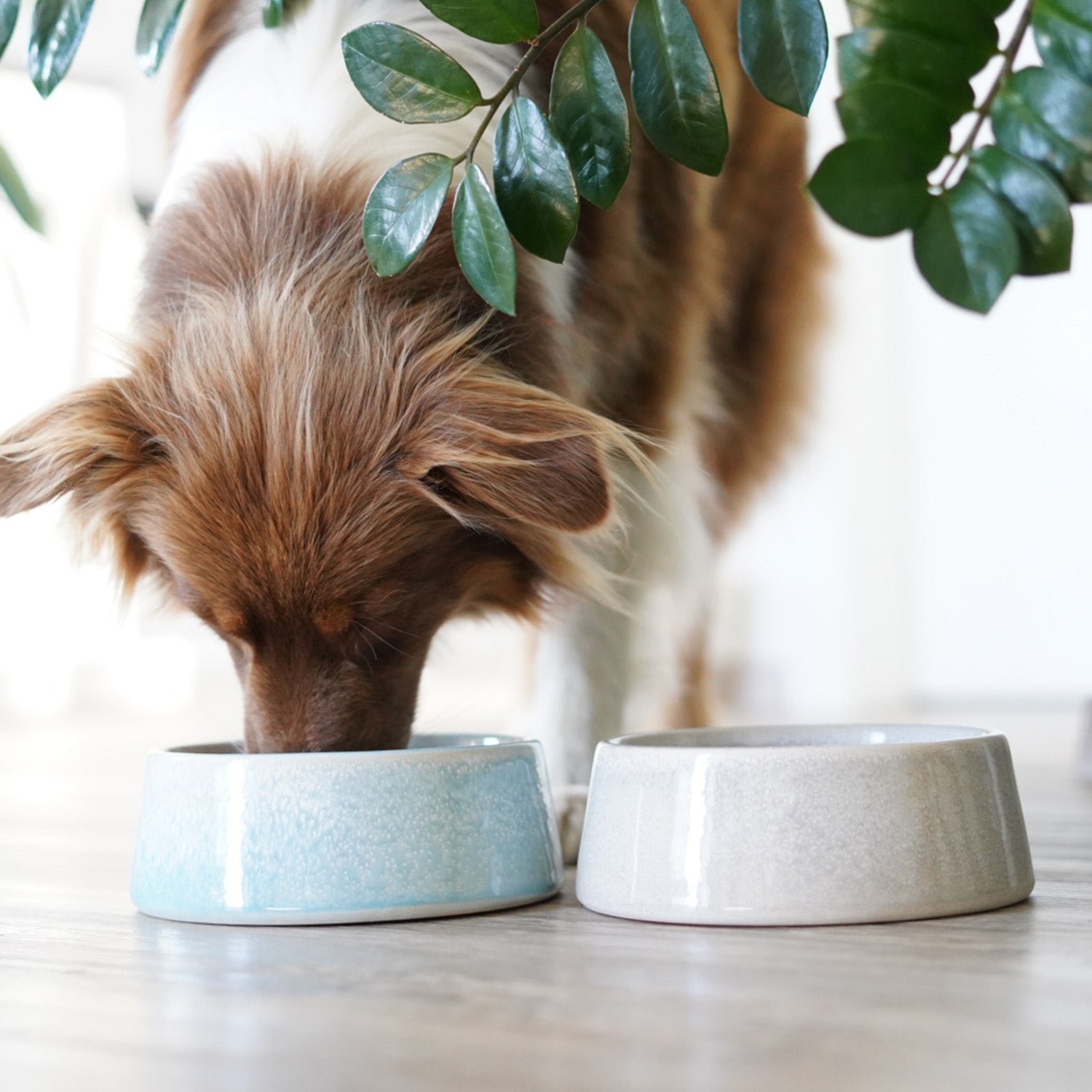 Hundenapf / Futternapf Keramik - 800 ml - Grau, handgefertigt, lebensmittelecht, spülmaschinenfest, für kleine und mittelgroße Hunde.