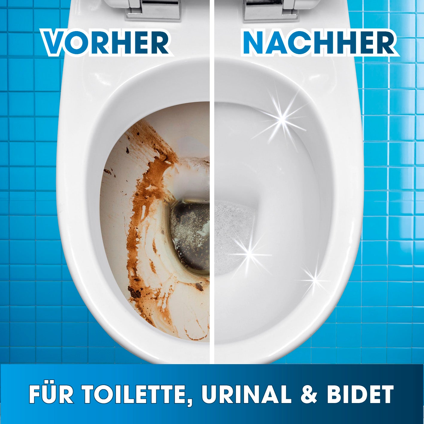 WC-Intensivschaum - 1,5 kg entfernt Kalk und Urinstein sichtbar, sorgt für hygienisch saubere Toilette, Urinal und Bidet.