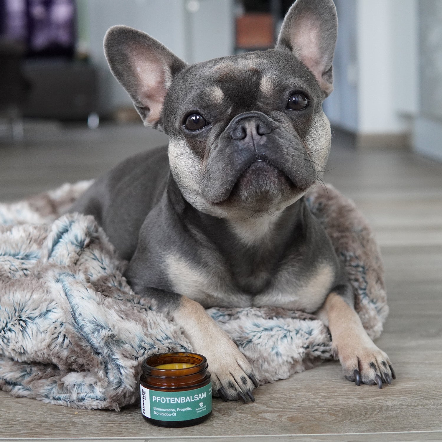 Pfotenbalsam - 50 ml - 100% natürlicher Pfotenschutz für Hunde, schützt vor Kälte, Hitze und rauem Gelände, naturreine Inhaltsstoffe.