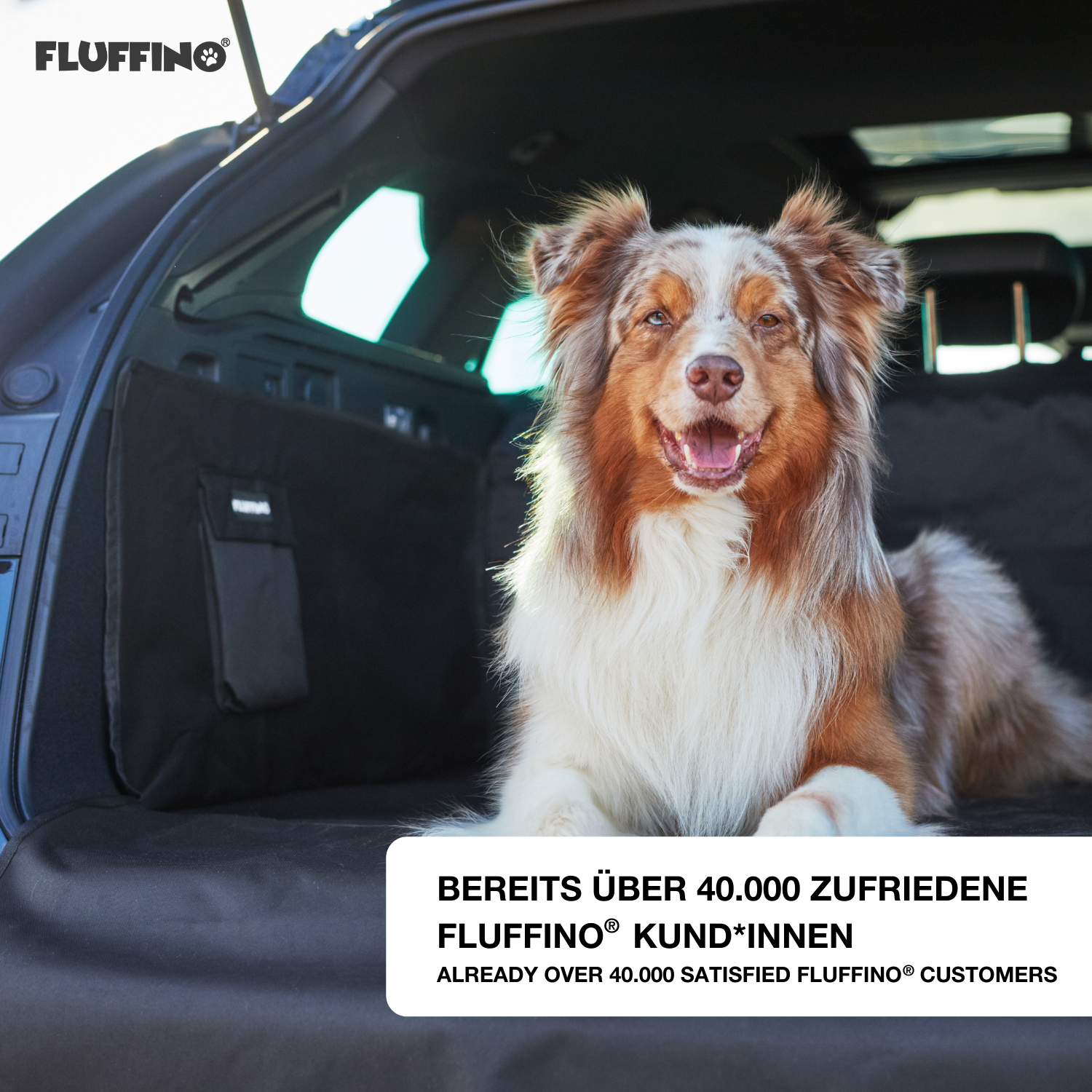 Kofferraumschutz für Hund inkl. Seiten- & Ladekantenschutz - dunkelgrau, wasserfest und kratzfest, ideal für Autos mit Hund.