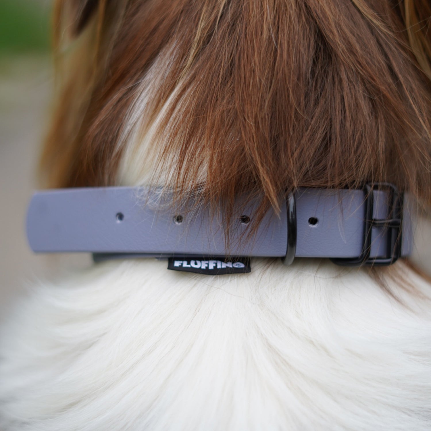 Hundehalsband aus BioThane - 5-Fach verstellbare - Größe S - Grau am Hals eines Hundes, vegan und wasserfest von FLUFFINO.
