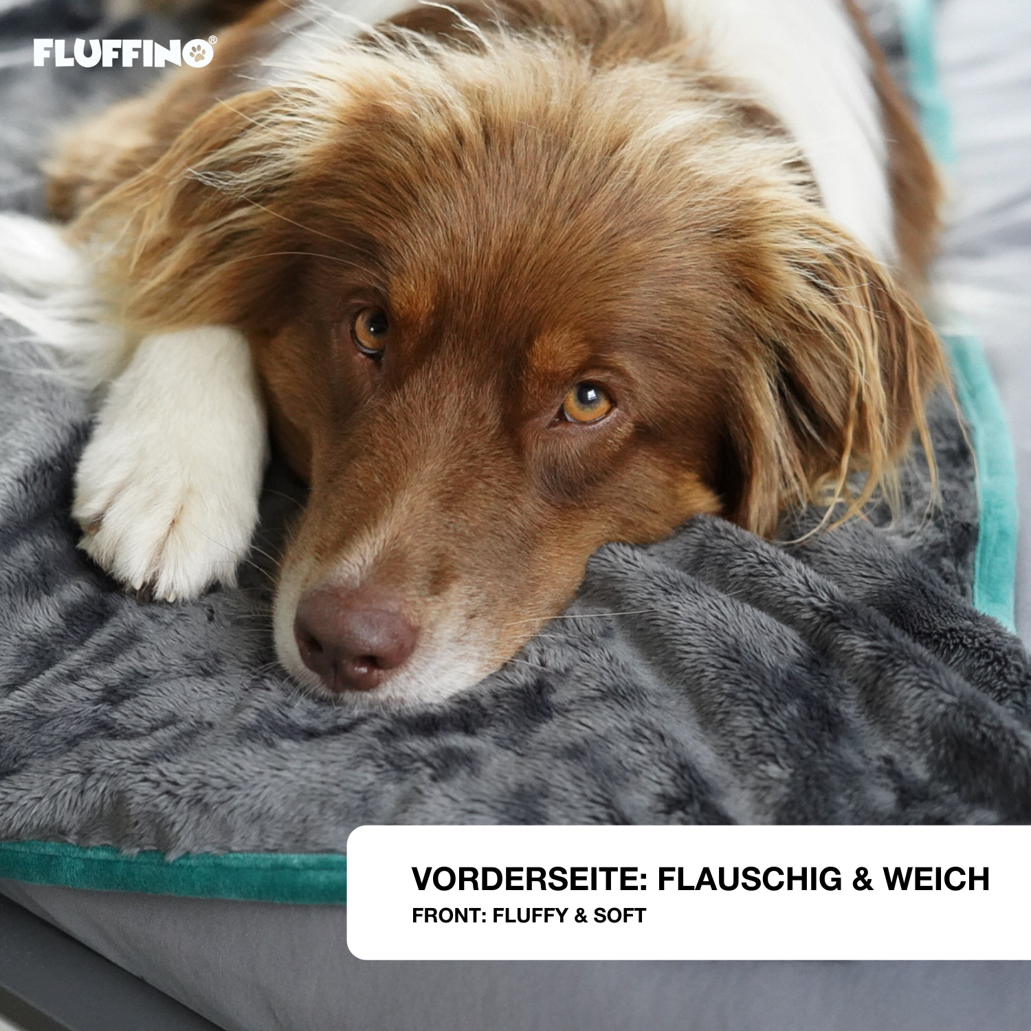 Hundedecke/ Wendedecke /Kuscheldecke - 150x100 cm - Grau von FLUFFINO, flauschig weich, wendbar und vielseitig für Hunde geeignet.