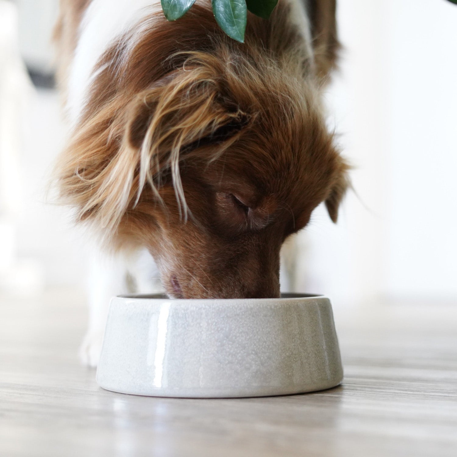 Hundenapf / Futternapf Keramik - 800 ml Grau, handgefertigt, lebensmittelecht, spülmaschinenfest, für kleine und mittelgroße Hunde.