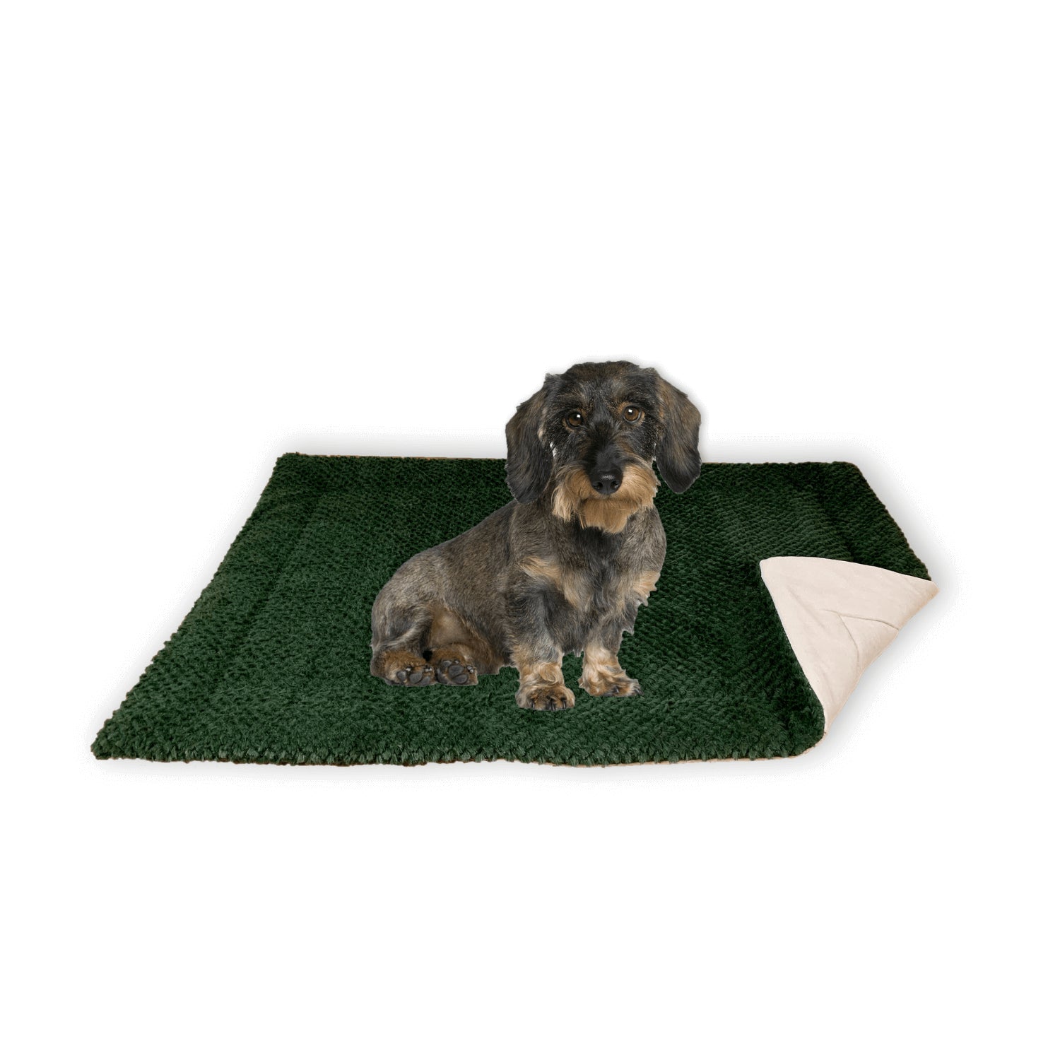 Hundedecke/Hundekissen - Wildlederimitat - Größe S (73 x 45 cm) - grün mit kleinem Hund, weich, isolierend und rutschfest.