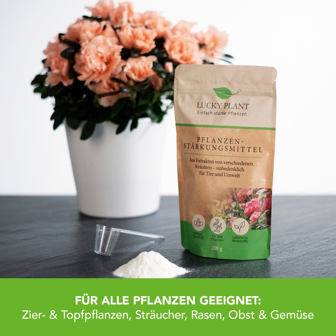 Pflanzenstärkung Pulver - 200 g mit natürlichen Kräuterextrakten für stärkeres Pflanzenwachstum und längere Blütezeit, umweltfreundlich.