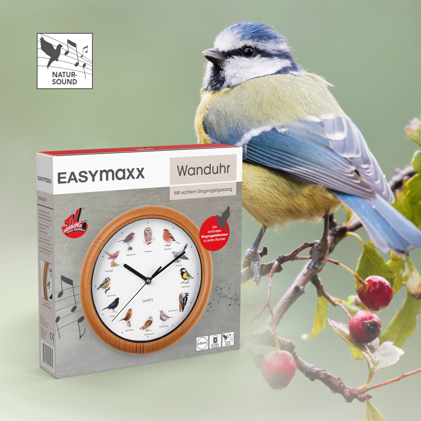 Wanduhr mit Vogelstimmen - 12 Singvogelstimmen, naturgetreue Motive, batteriebetrieben, automatische Abschaltung nachts, 25 cm Durchmesser.