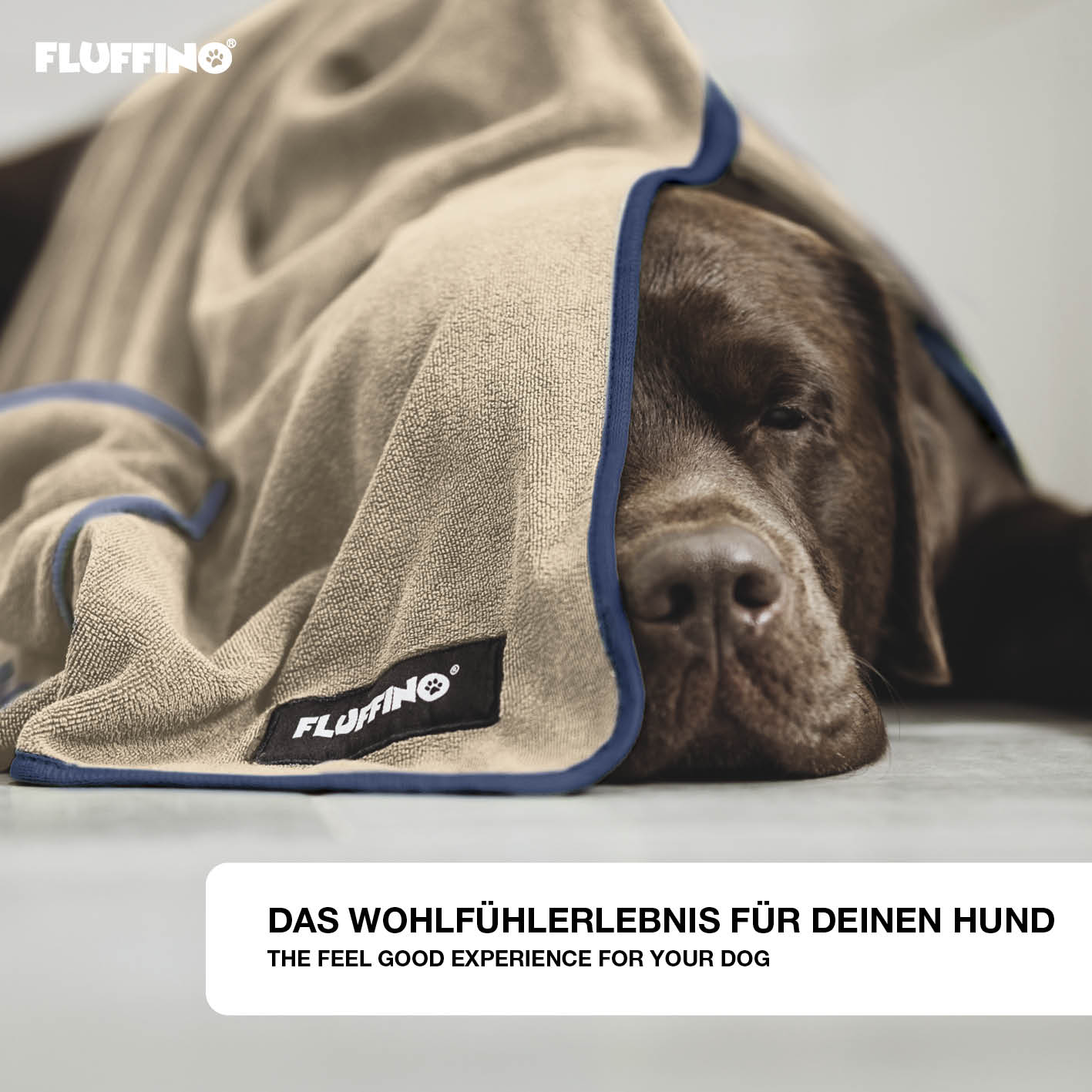 Hundehandtuch Mikrofaser – 2er-Pack - 120 x 70 cm - Beige & Blau, saugfähig, schnell trocknend, weich, für große und kleine Hunde.