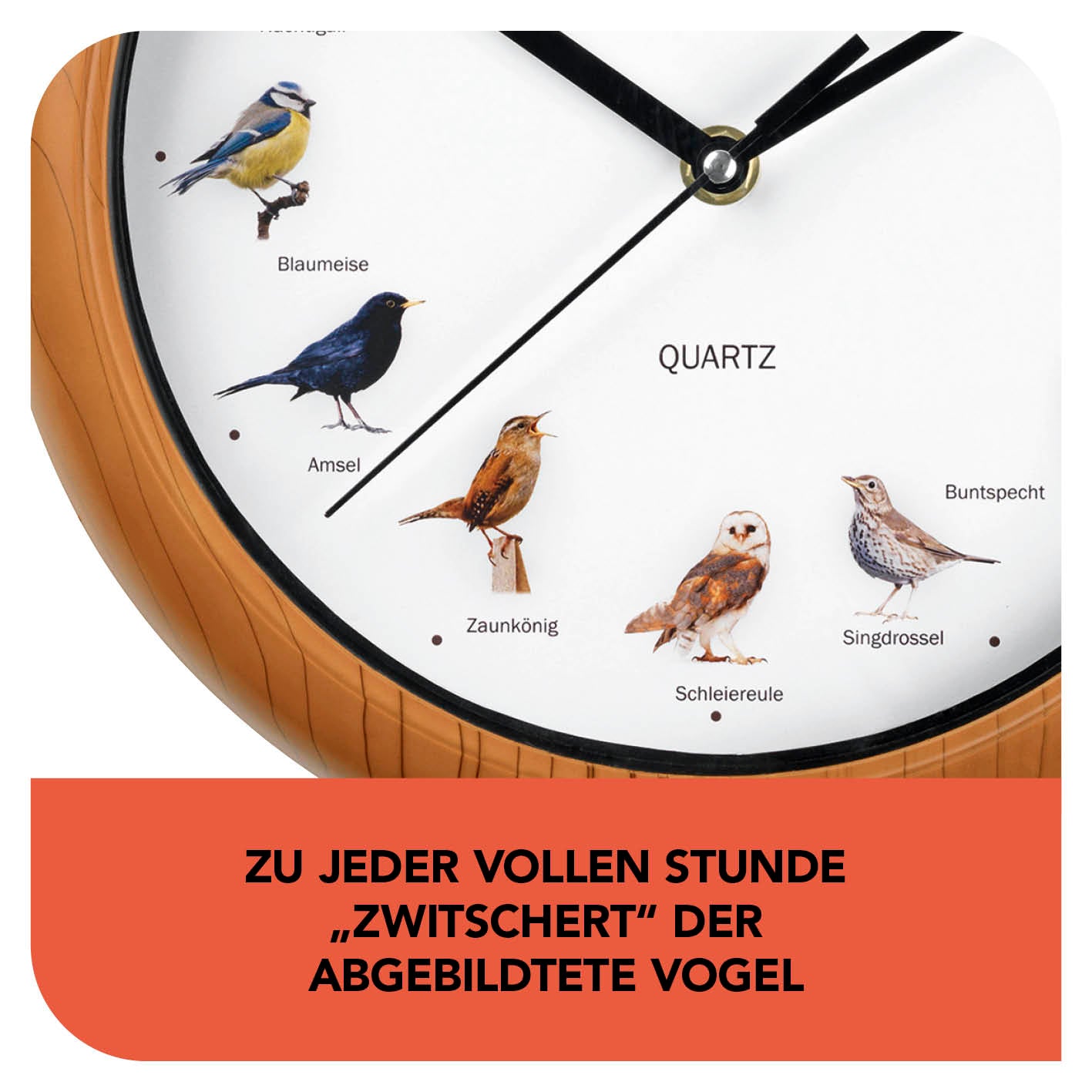 Wanduhr mit Vogelstimmen - 25cm zeigt verschiedene Vogelmotiven, die zu jeder vollen Stunde realistisch zwitschern.