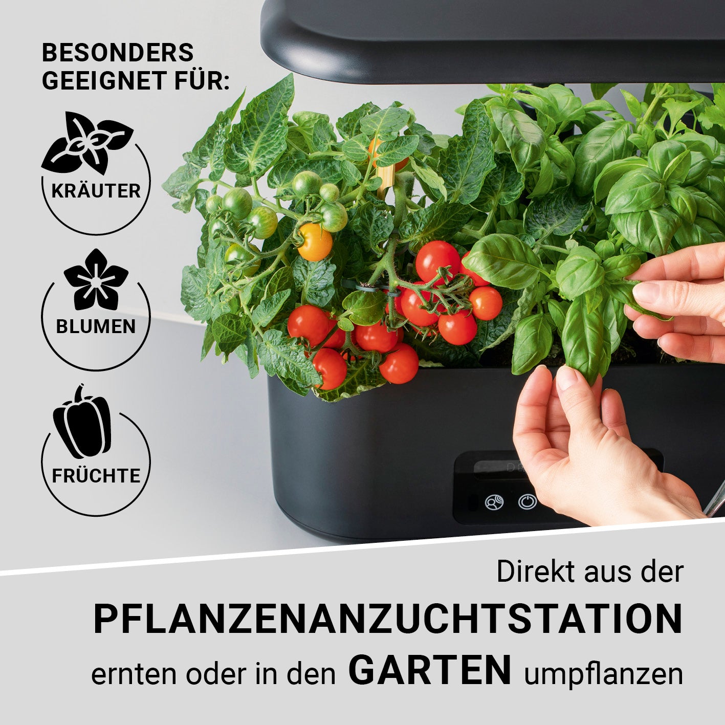 Hydroponische Pflanzenanzuchtstation mit Display + Ersatz-Set 56-tlg. mit Kräutern, Tomaten und verstellbarer LED für Indoor Garten.