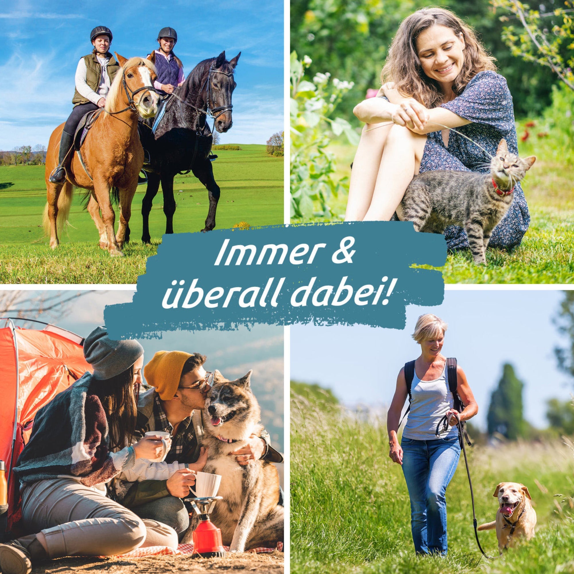 Zeckengreifer für Tiere mit rotierendem Greiferkopf schonend Zecken entfernen bei Tieren beim Ausritt, Spaziergang, Camping und Zuhause nutzen.