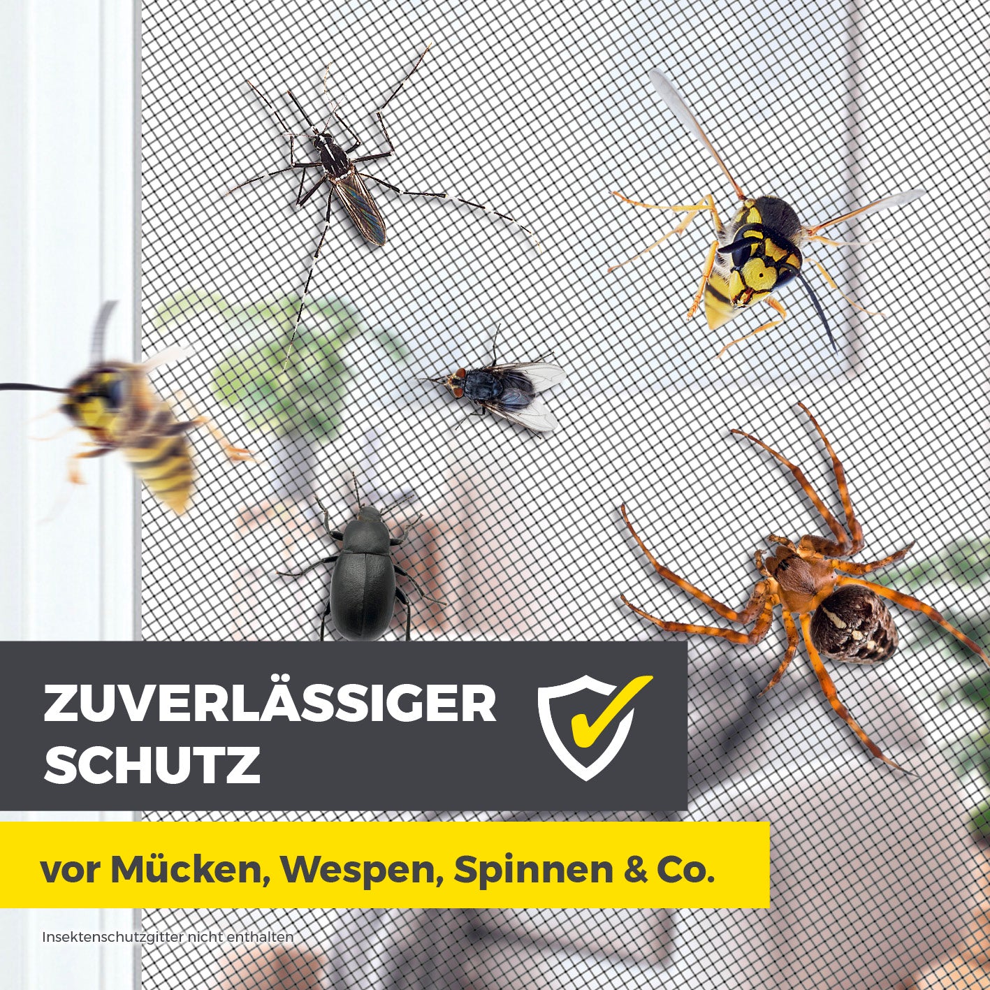 Magnet-Set für EASYmaxx Insect Protect Insektenschutzgitter mit 12 starken Magneten für einfachen Schutz vor Insekten.